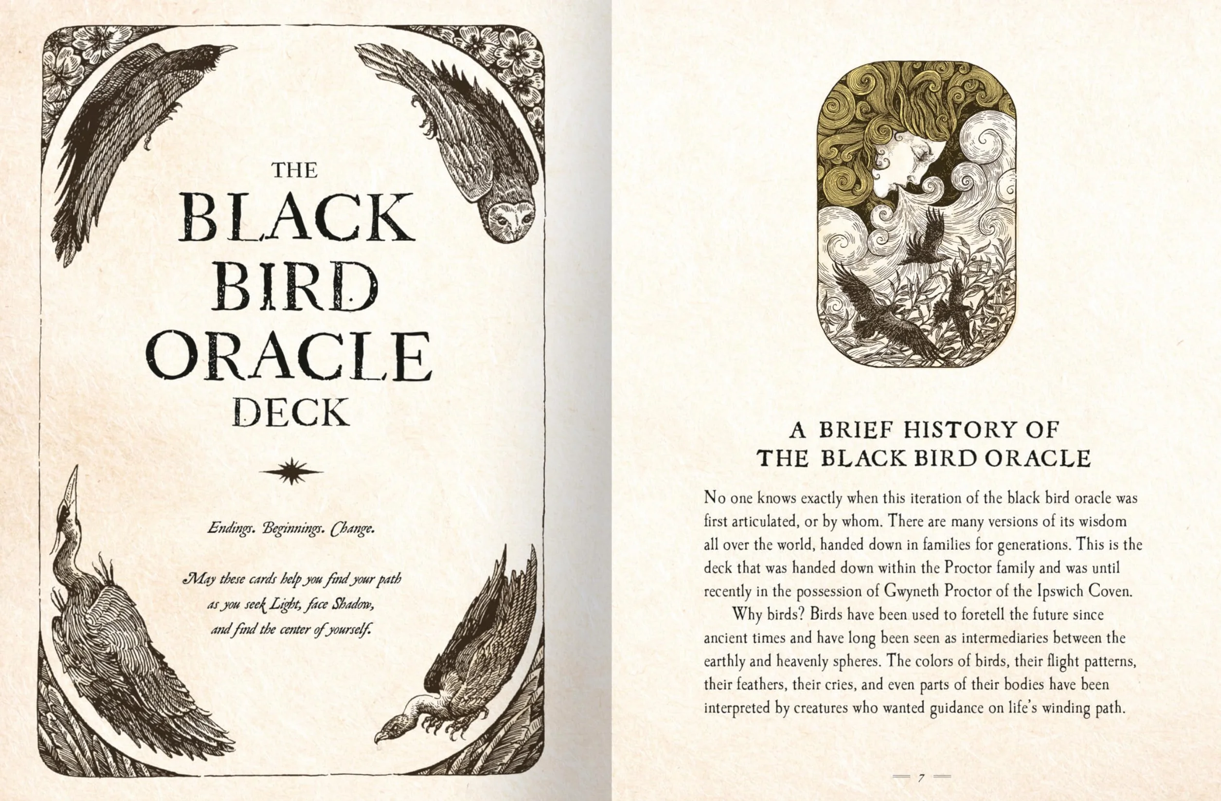 The Black Bird Oracle Deck: 52-Card Deck and Guidebook
