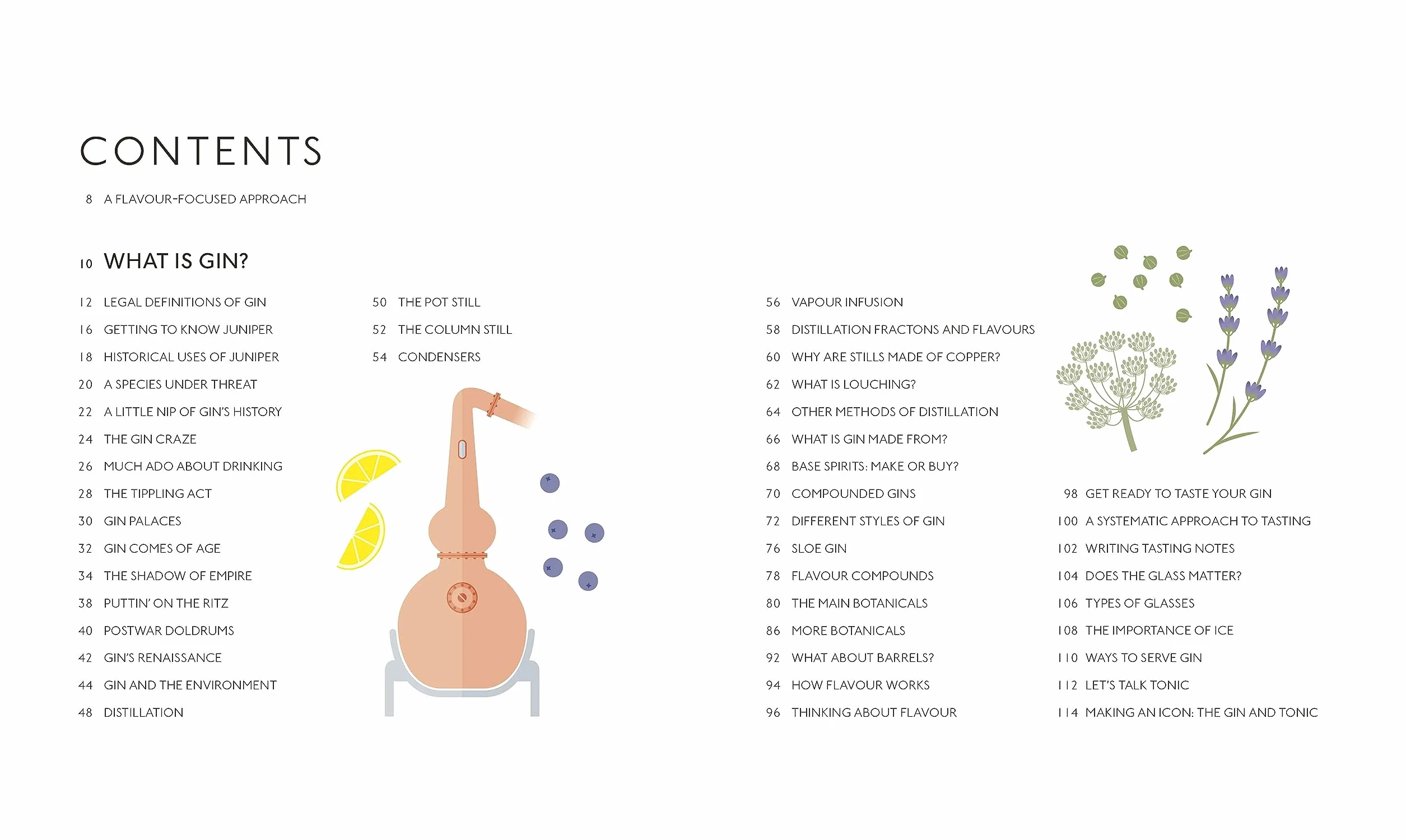 Gin A Tasting Course: Flavour-focused Approach to the World of Gin