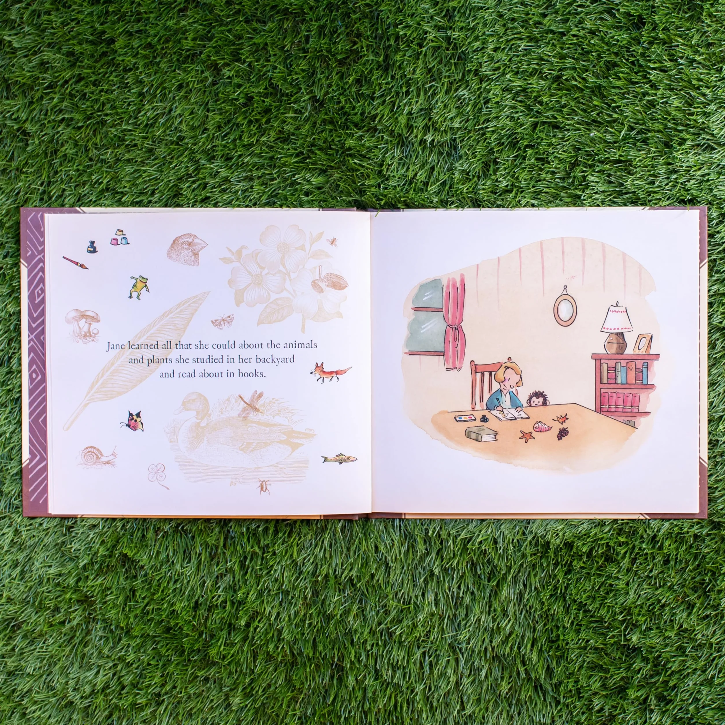 Me . . . Jane (Caldecott Honor Book)