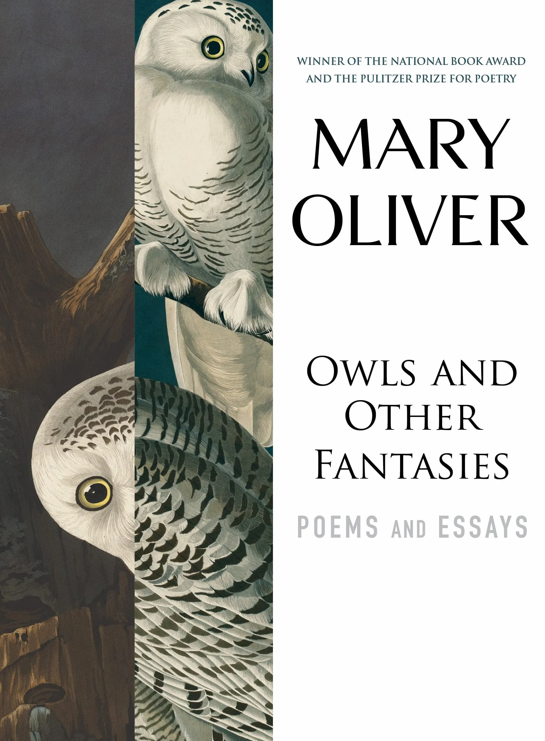 Owls and Other Fantasies: Poems and Essays