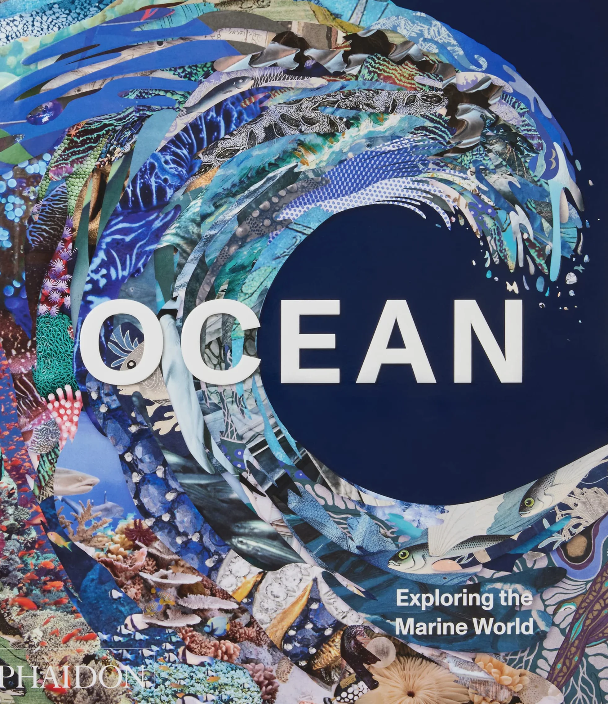 Ocean: exploring the marine world