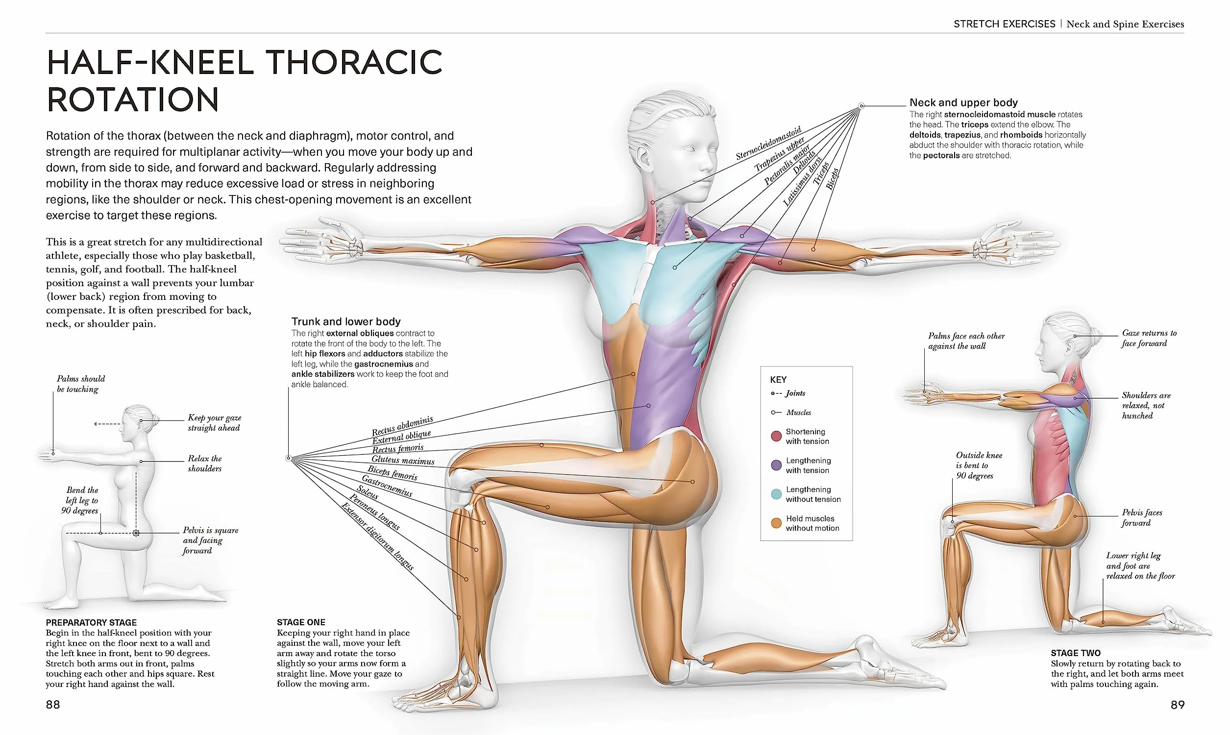 Science of Stretch: Reach Your Flexible Potential, Stay Active, Maximize Mobility
