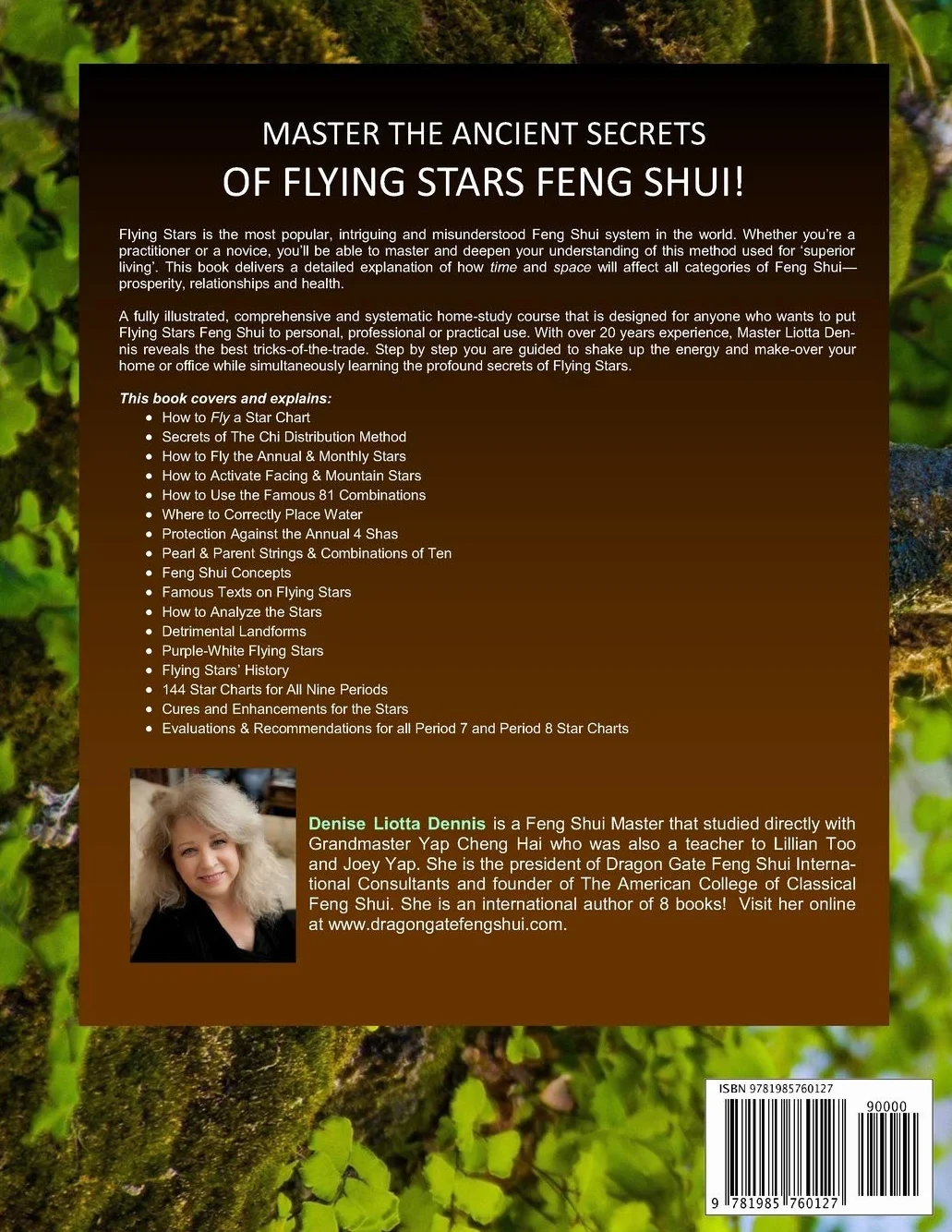 The Secrets of Mastering Flying Stars Feng Shui: Learn how to fly, analyze, cure and enhance the stars for your home and office