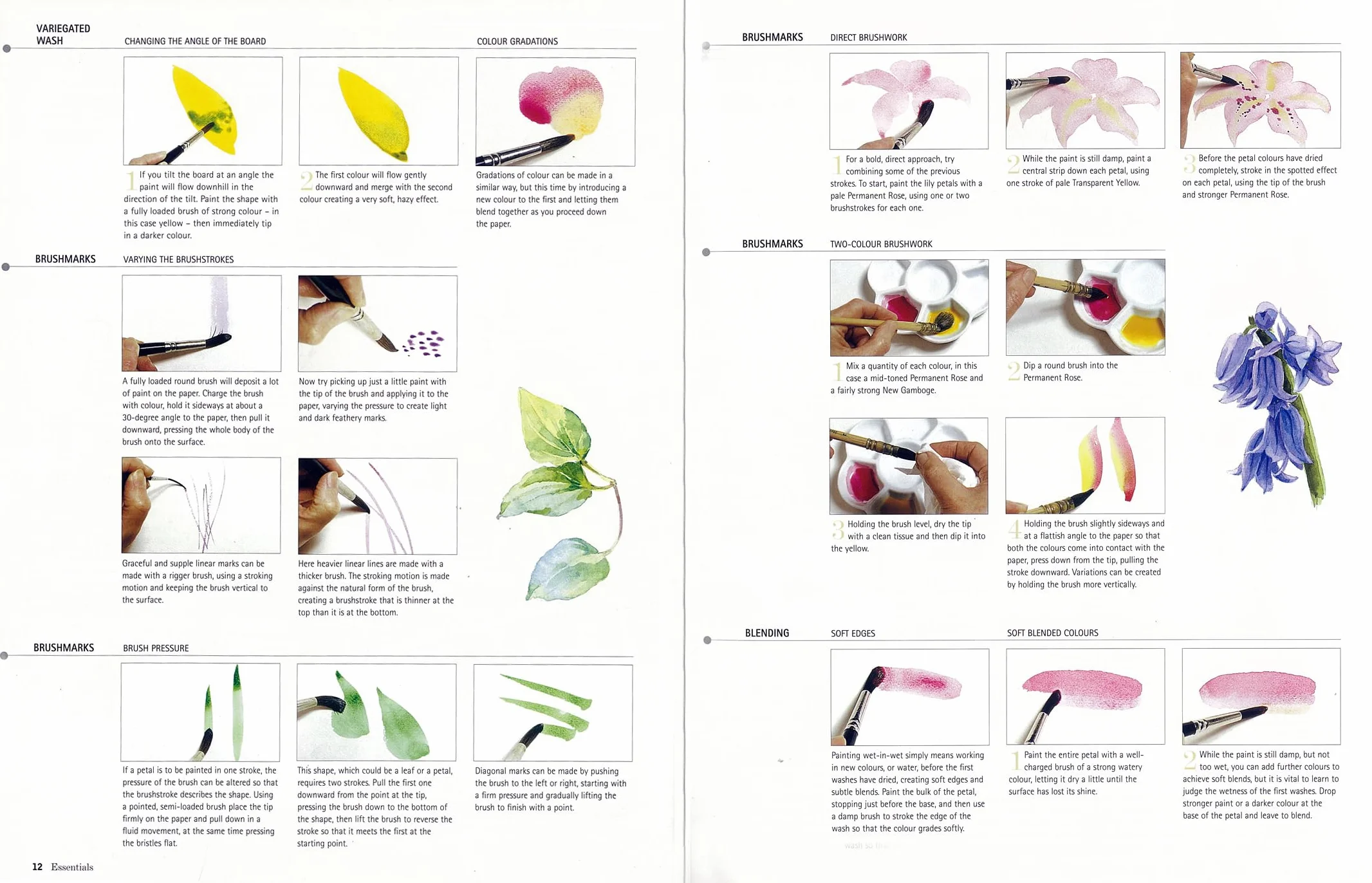 Kew Watercolour Flower Painter's A to Z: Illustrated Directory of Techniques for Painting 50 Popular Flowers