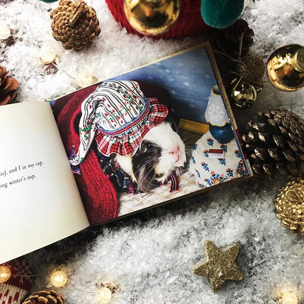 A Guinea Pig Night Before Christmas