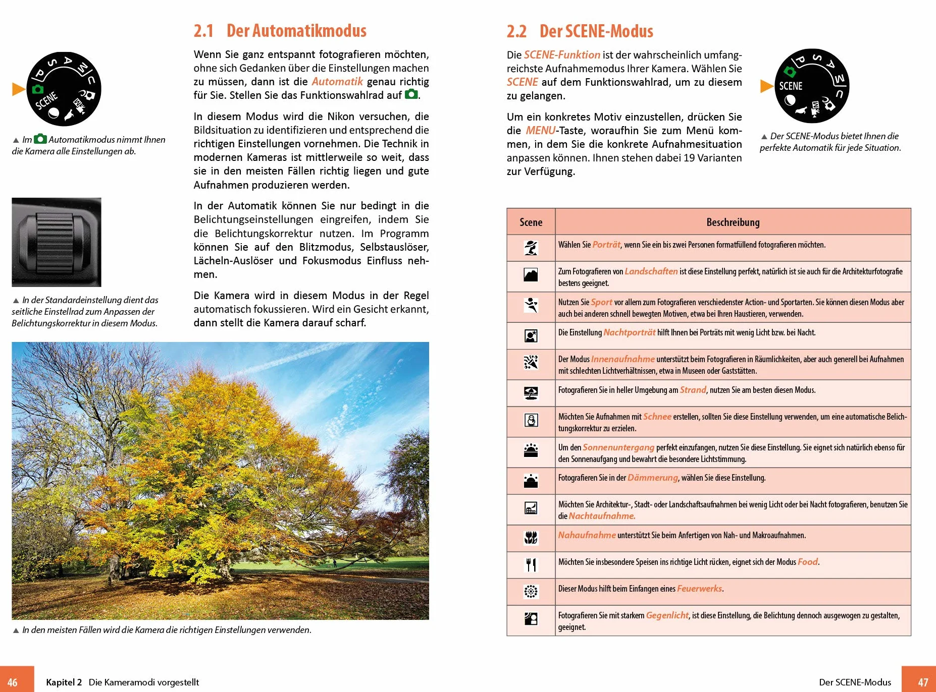 Nikon Coolpix P950: Das umfangreiche Praxisbuch zu Ihrer Kamera!
