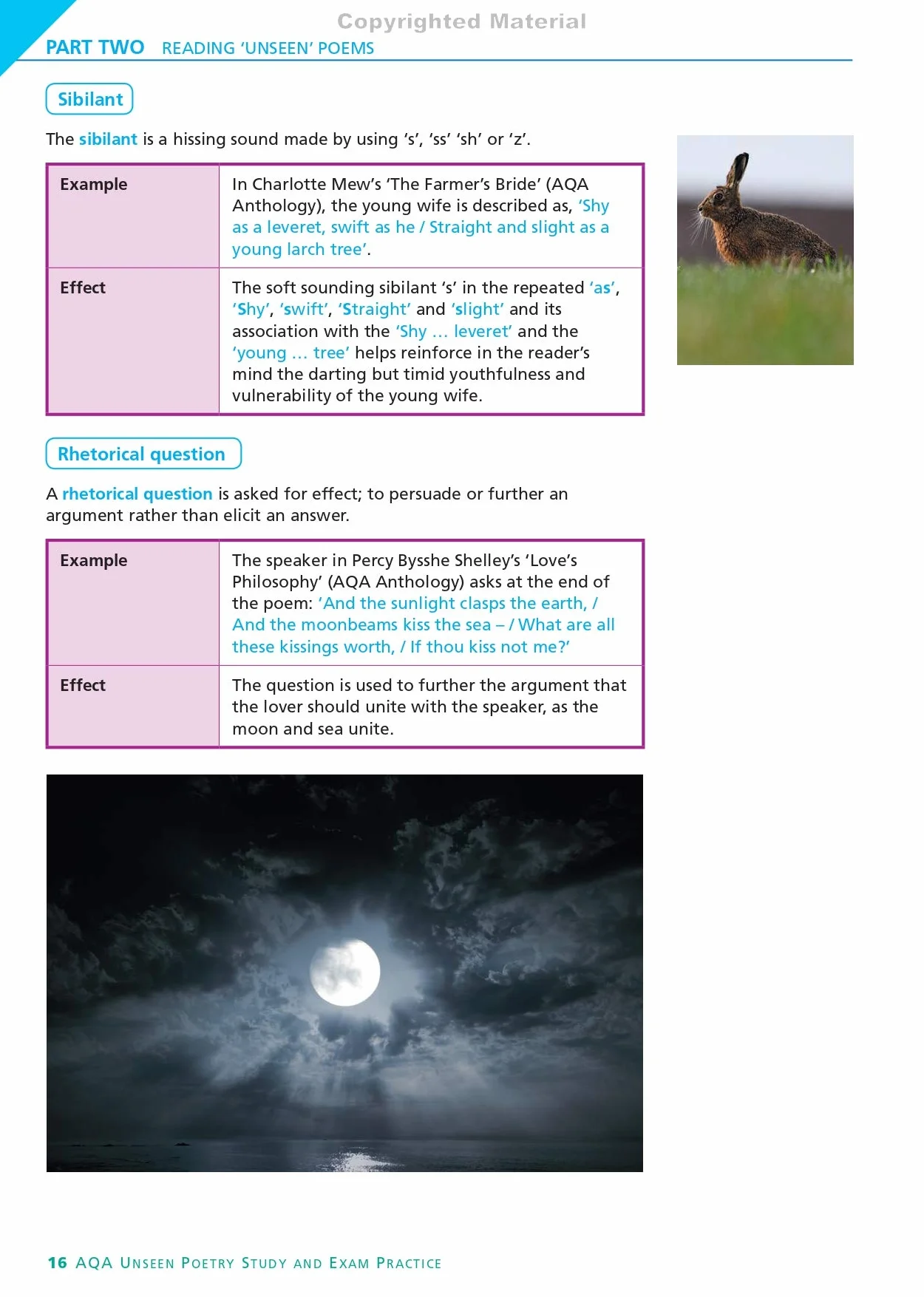 AQA English Literature Unseen Poetry Study and Exam Practice York Notes GCSE - for 2026, 2027 exams: York Notes Series