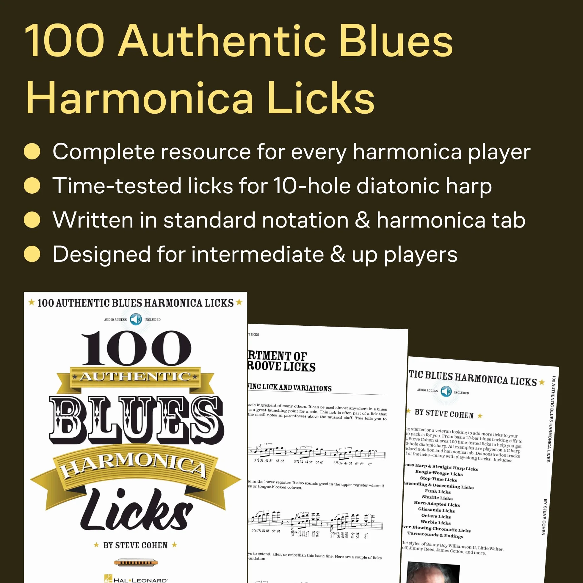 Blues Harmonica Licks