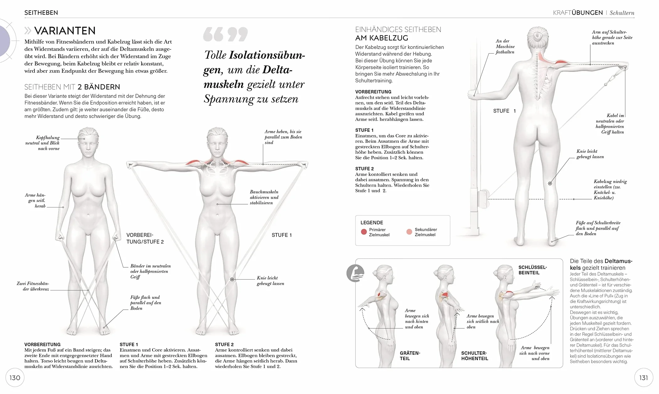 Krafttraining - Die Anatomie verstehen: Mit Übungen zum gezielten Muskelaufbau für einen definierten Körper