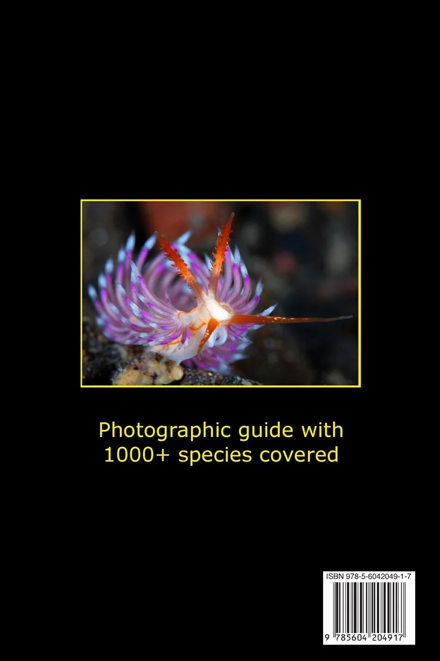 Nudibranchs of the Coral Triangle: Reef ID Books