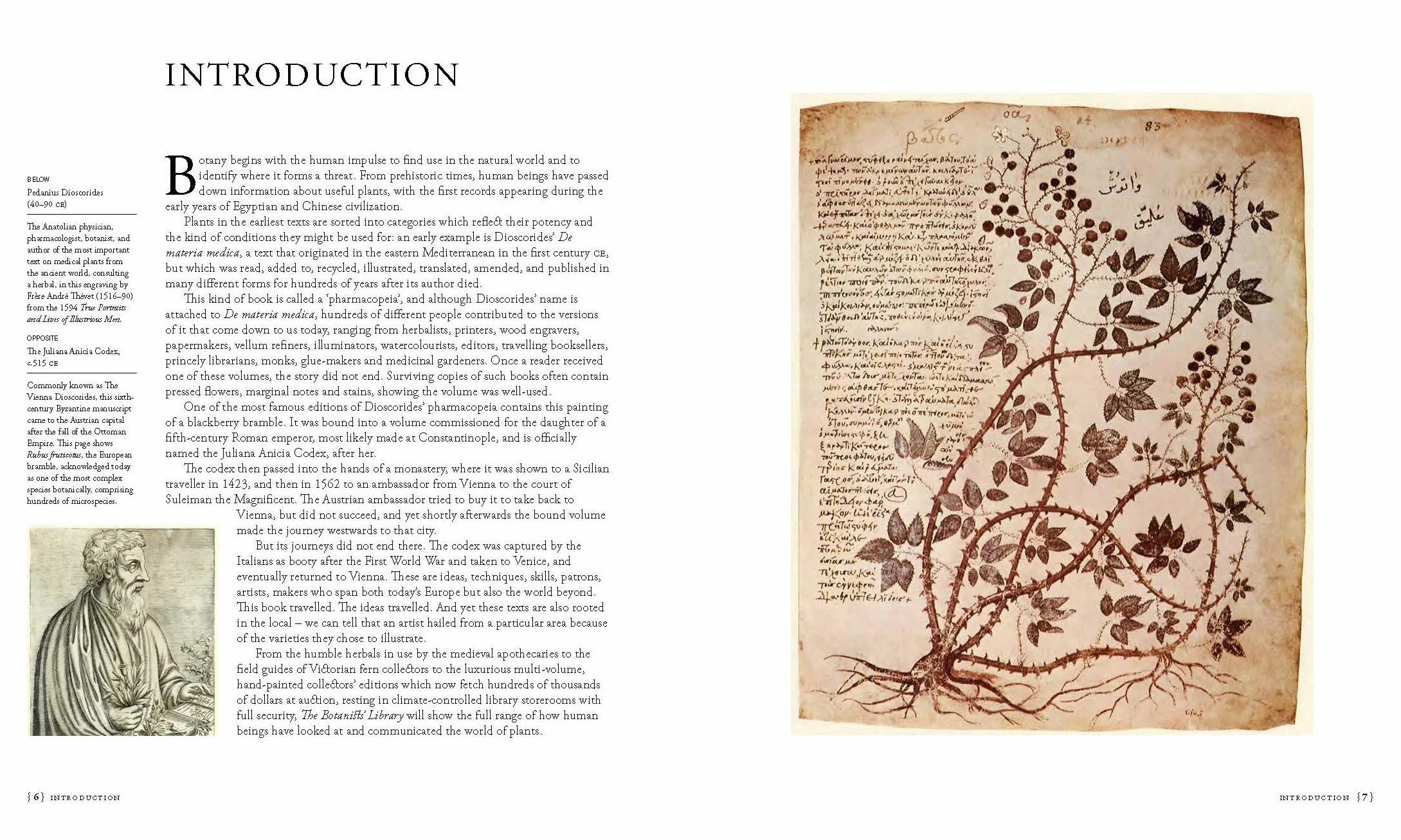 The Botanists' Library: Najważniejsze Książki Botaniczne w Historii