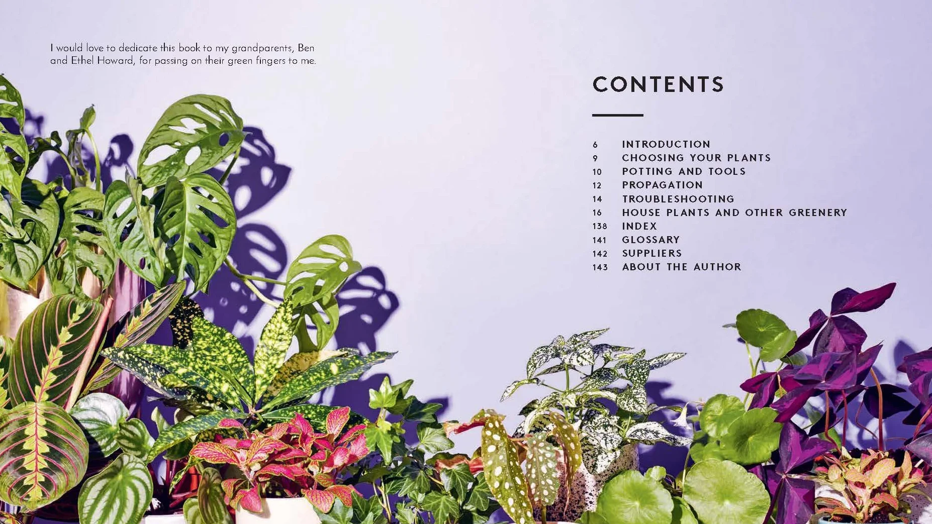 Little Book of House Plants and Other Greenery
