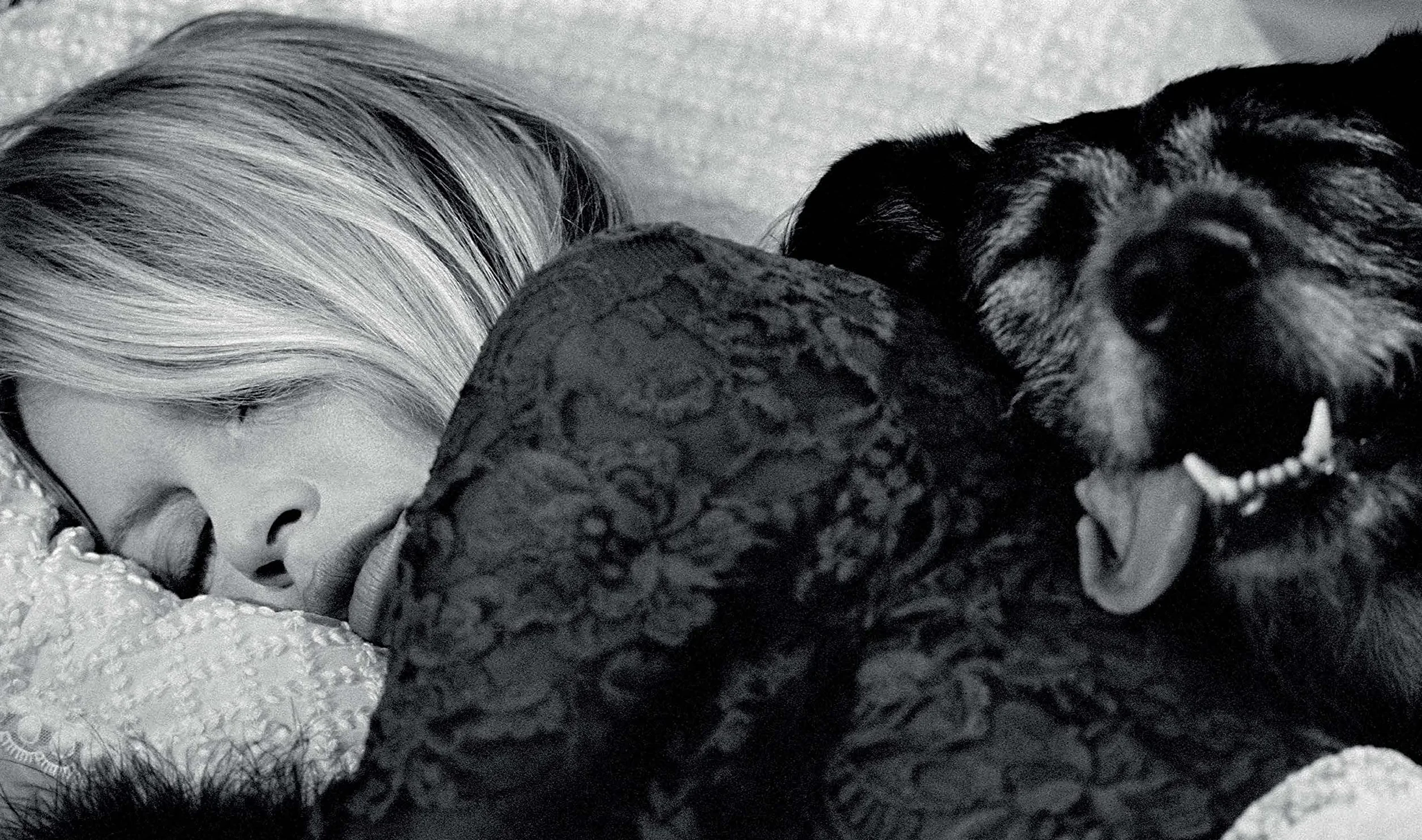 Terry O'Neill The Opus /anglais