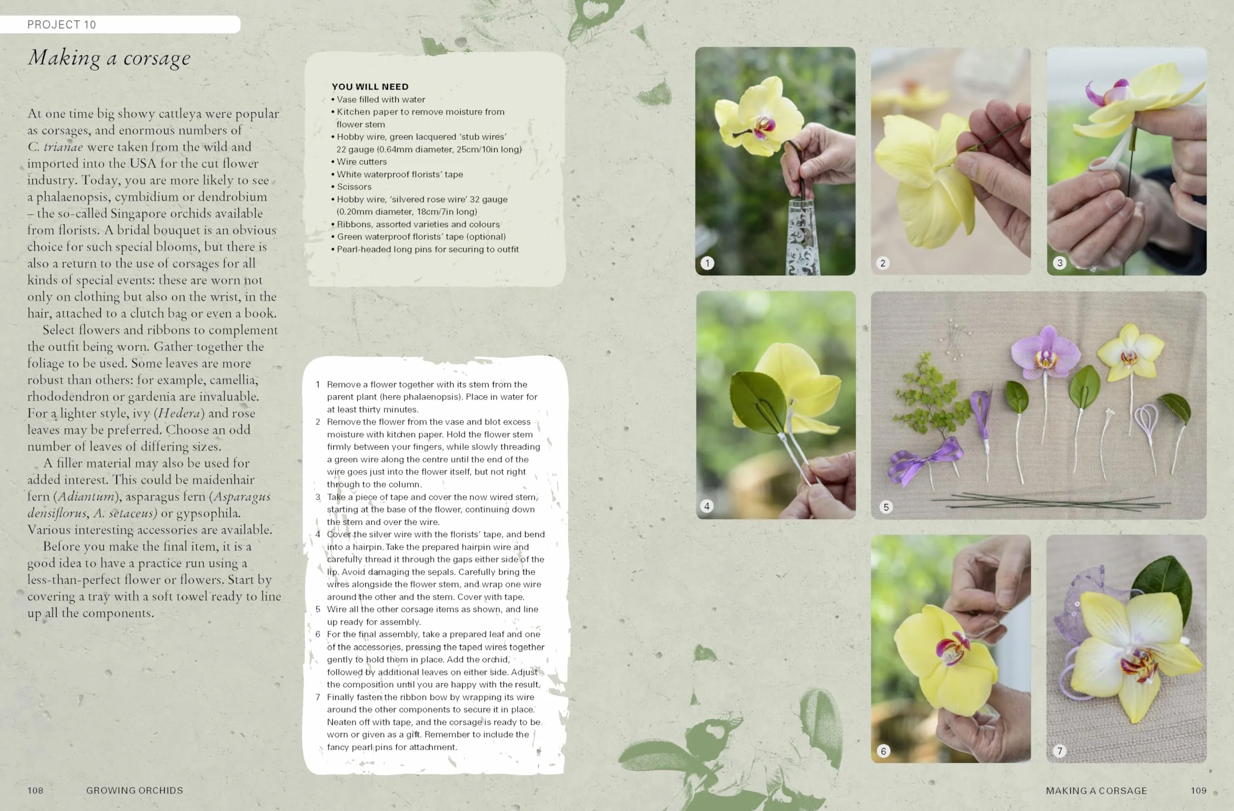 The Kew Gardener's Guide to Growing Orchids Volume 6