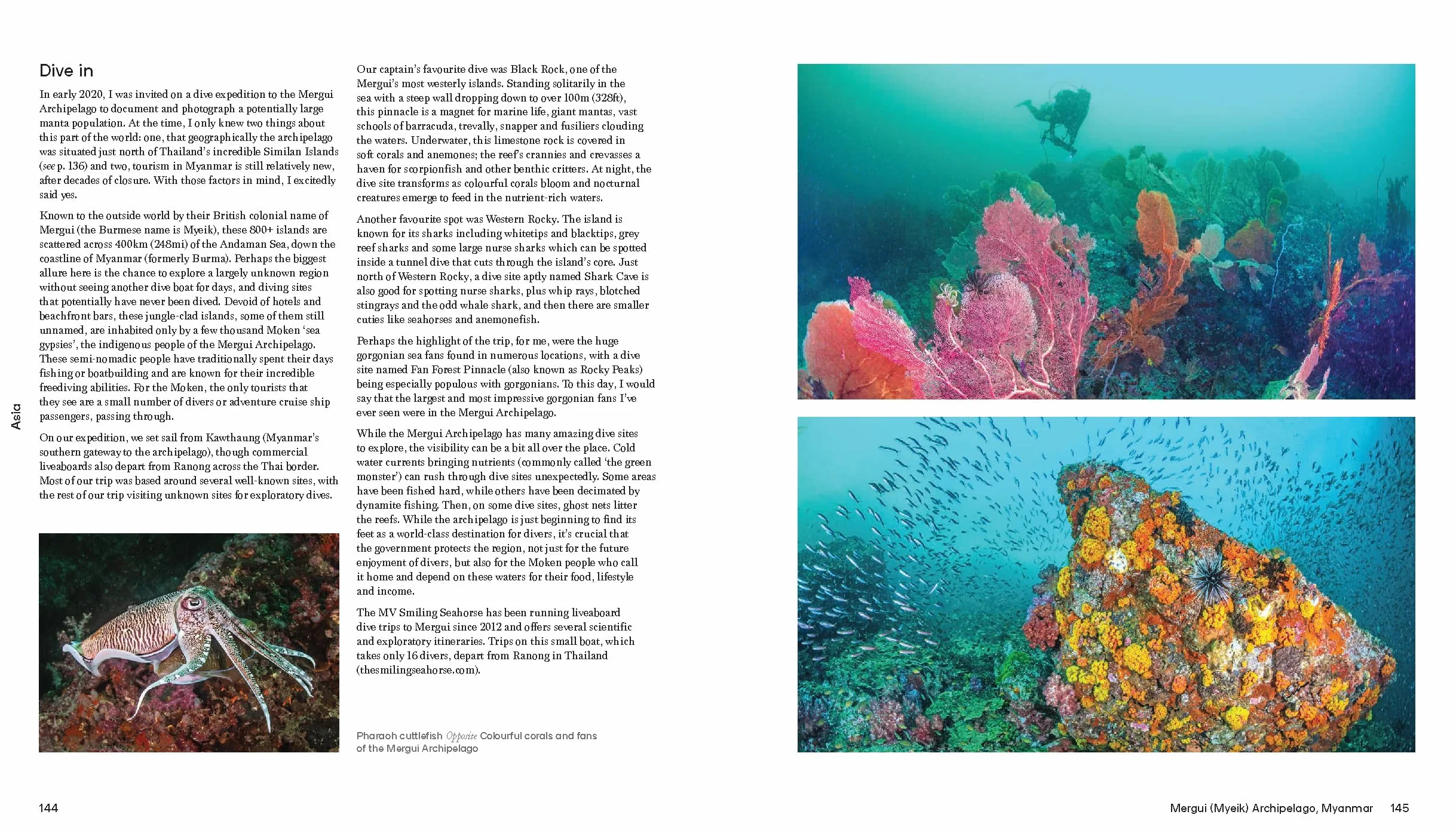 Ultimate Dive Sites