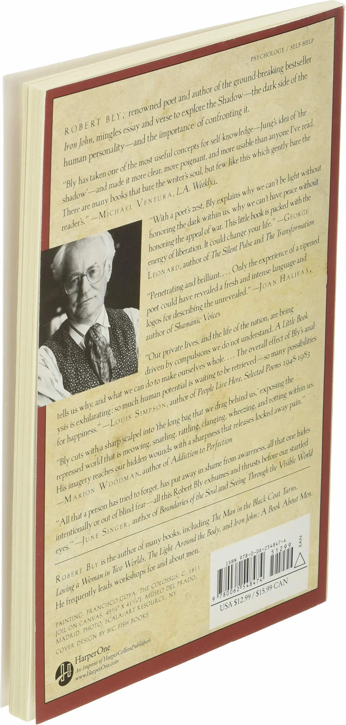 A Little Book on the Human Shadow