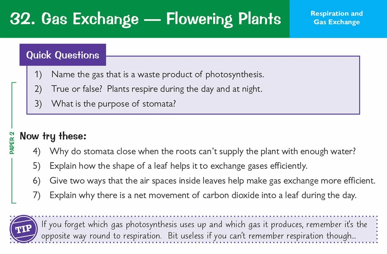 Edexcel International GCSE Biology Revision Question Cards