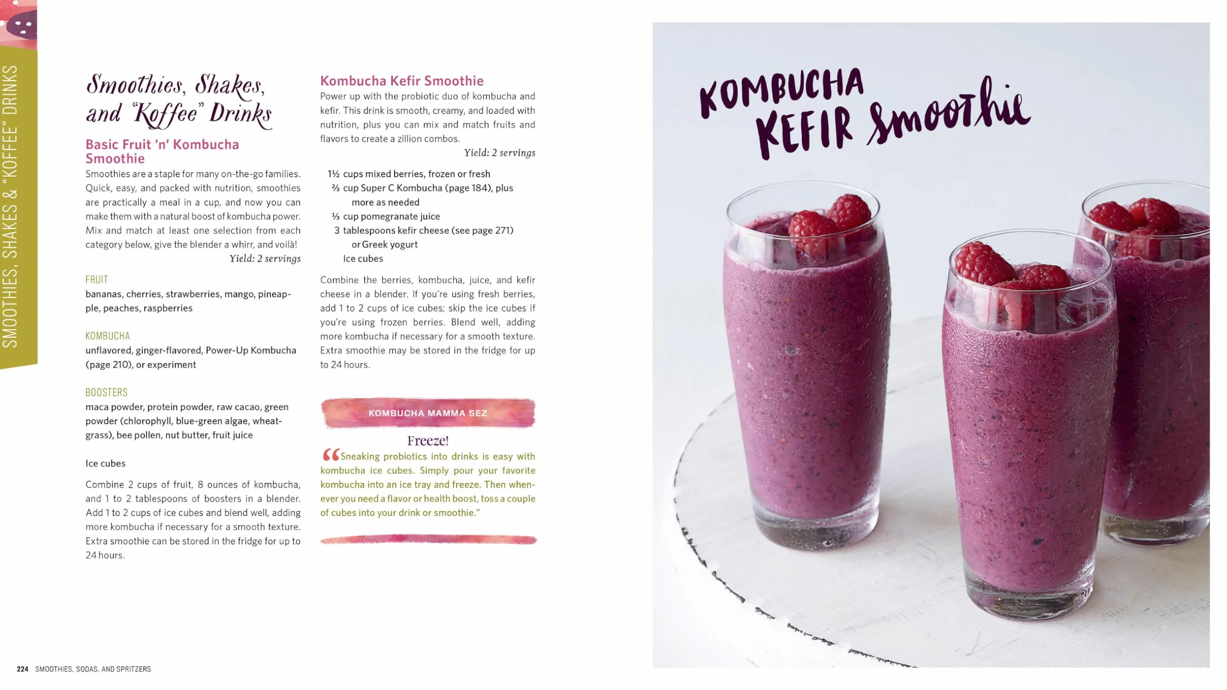 The Big Book of Kombucha: Brewing, Flavoring, and Enjoying Fermented Tea