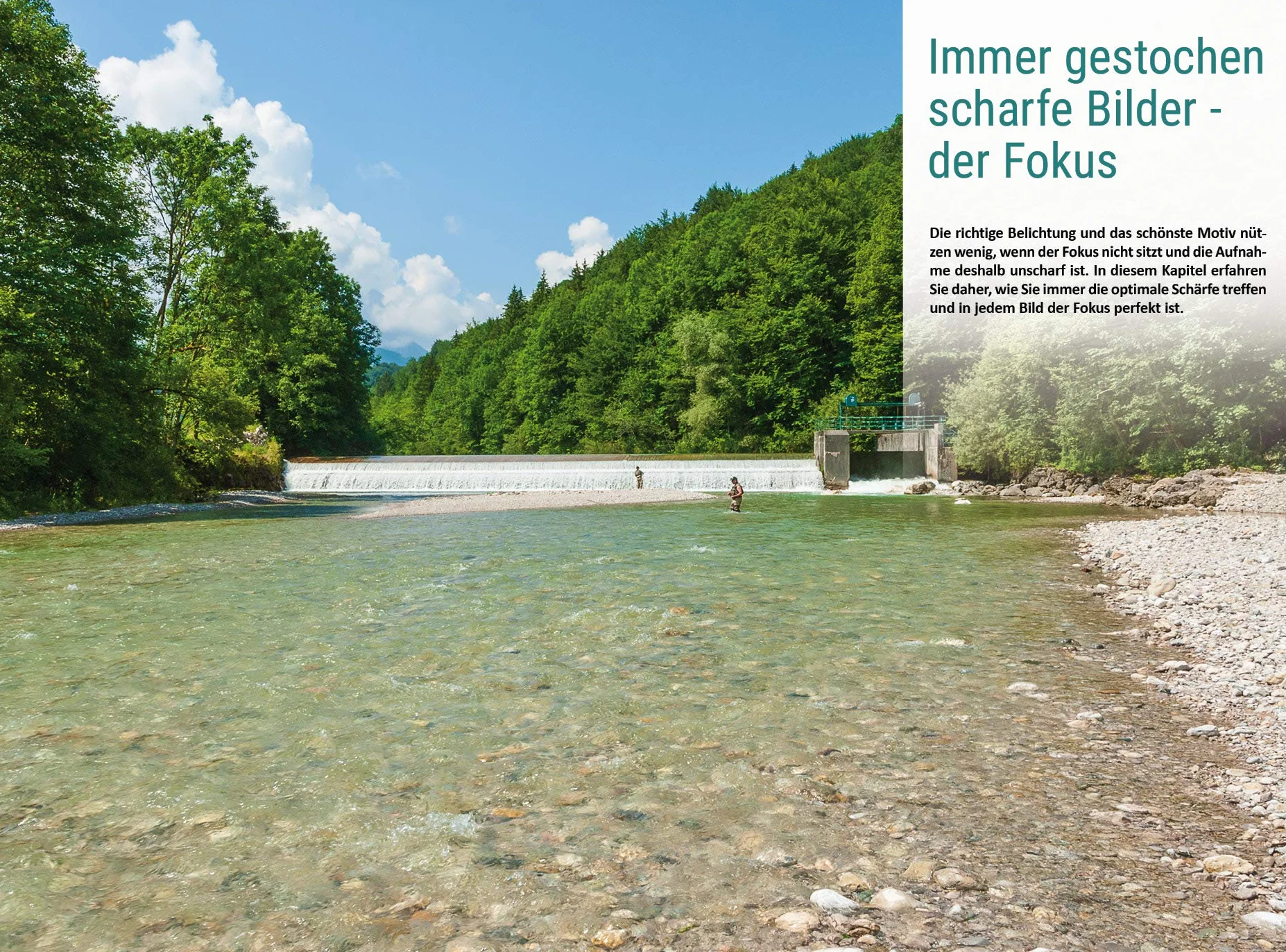 Nikon Coolpix P950: Das umfangreiche Praxisbuch zu Ihrer Kamera!