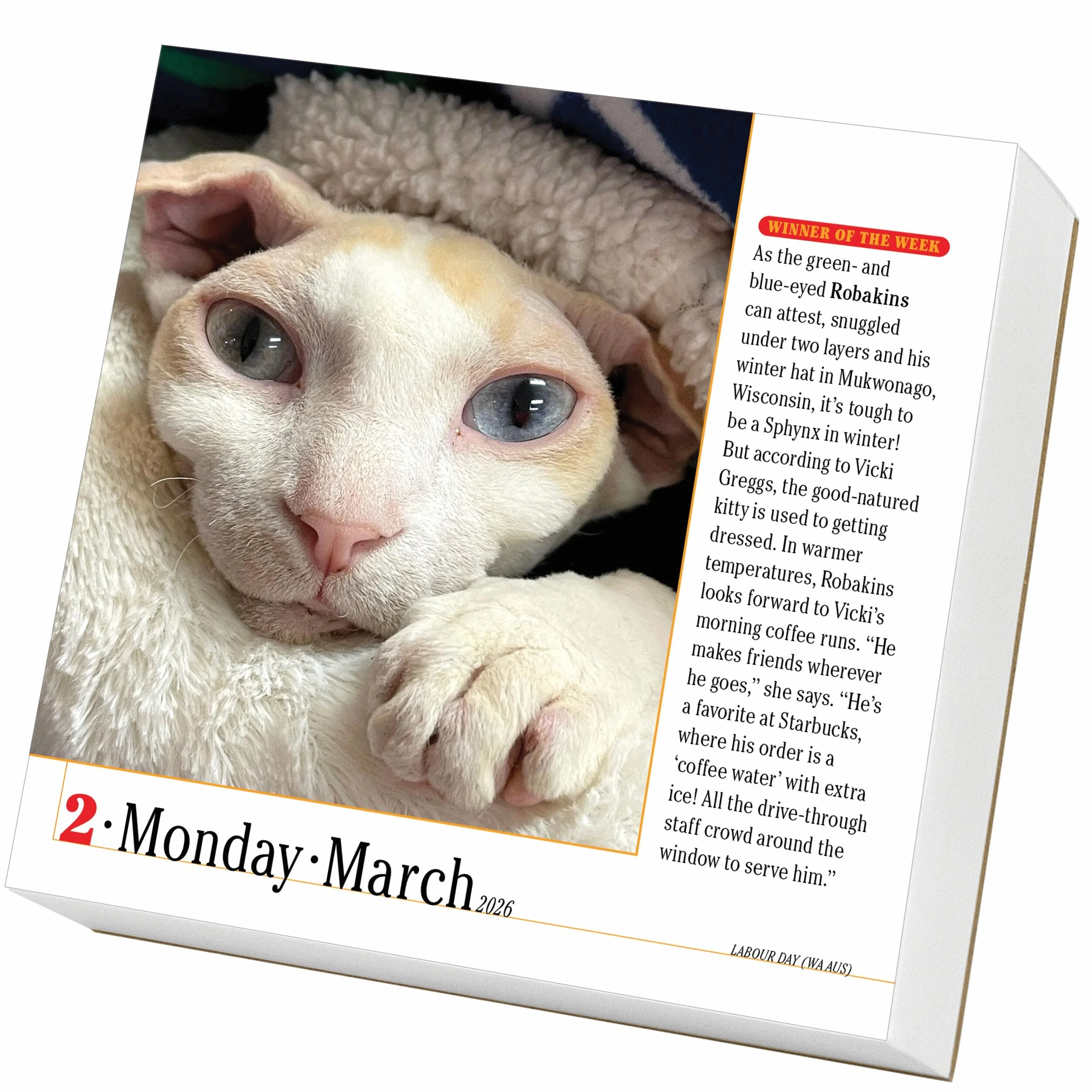 365 Cats Page-A-Day Calendar 2026: World's Favorite Cat Calendar