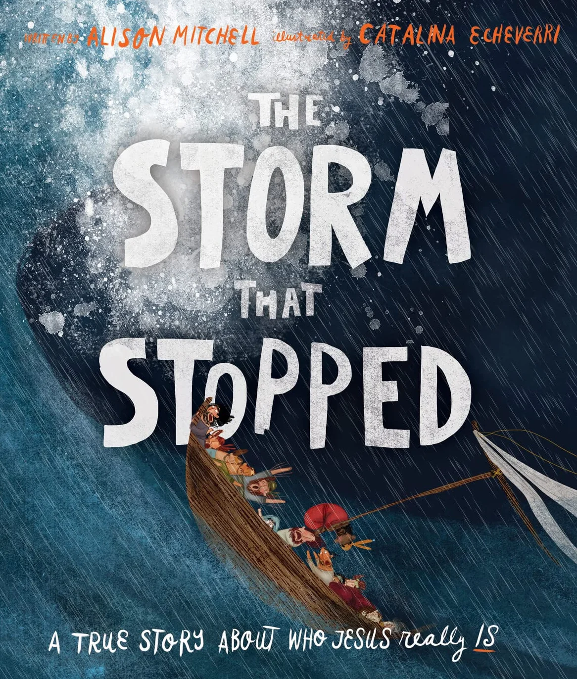 The Storm That Stopped Storybook: A True Story about Who Jesus Really Is