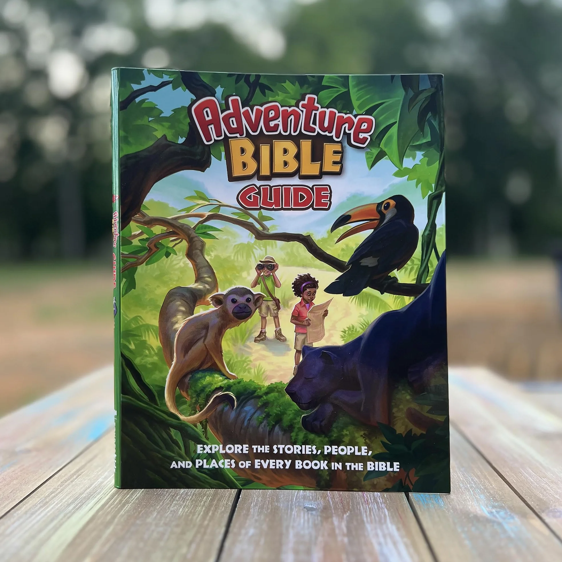 Adventure Bible Guide: Explore the Stories, People, and Places of Every Book in the Bible: An Ideal Companion to the NIV Adventure Bible