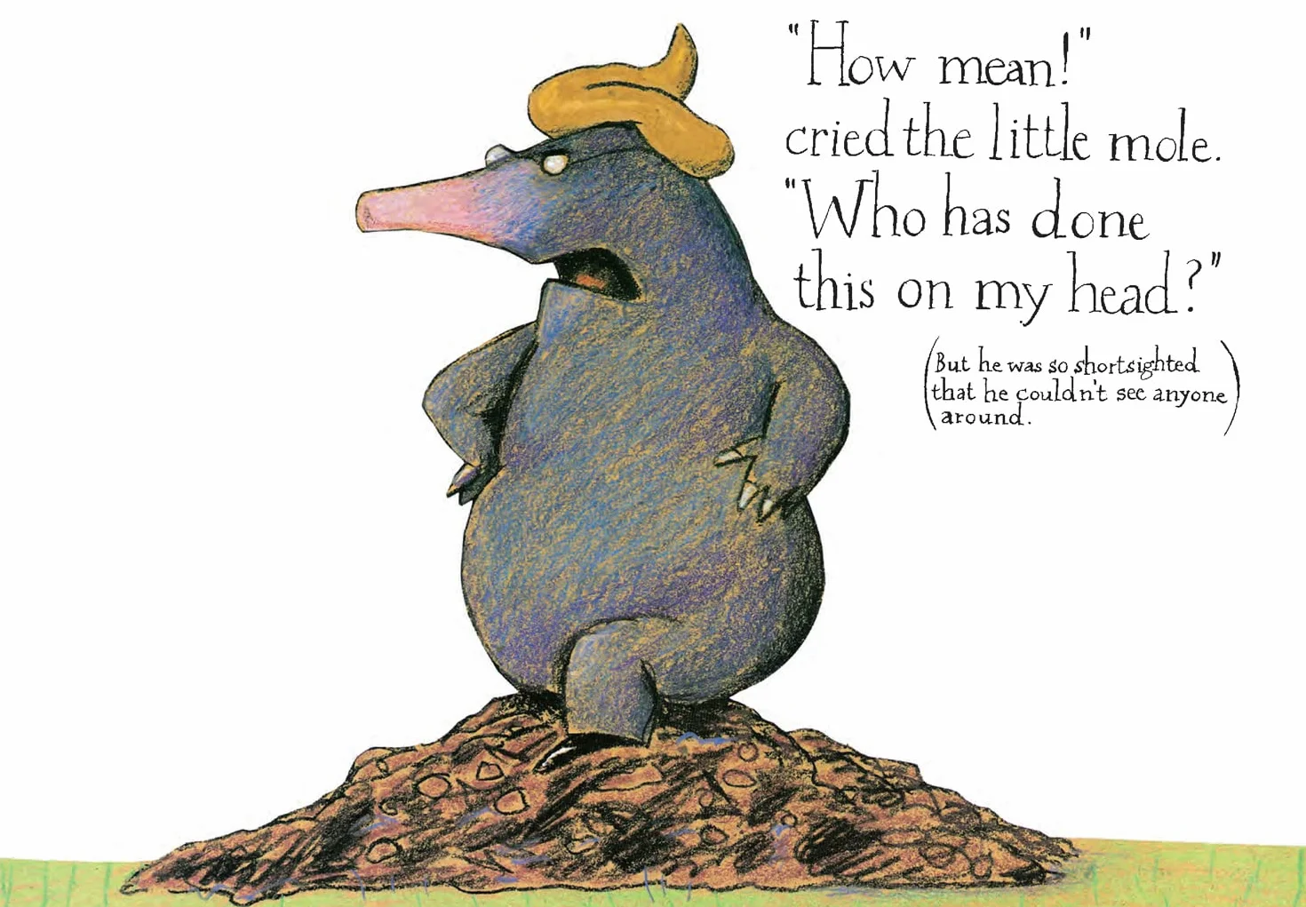 The Story of the Little Mole who knew it was none of his business: The hilarious children's illustrated classic