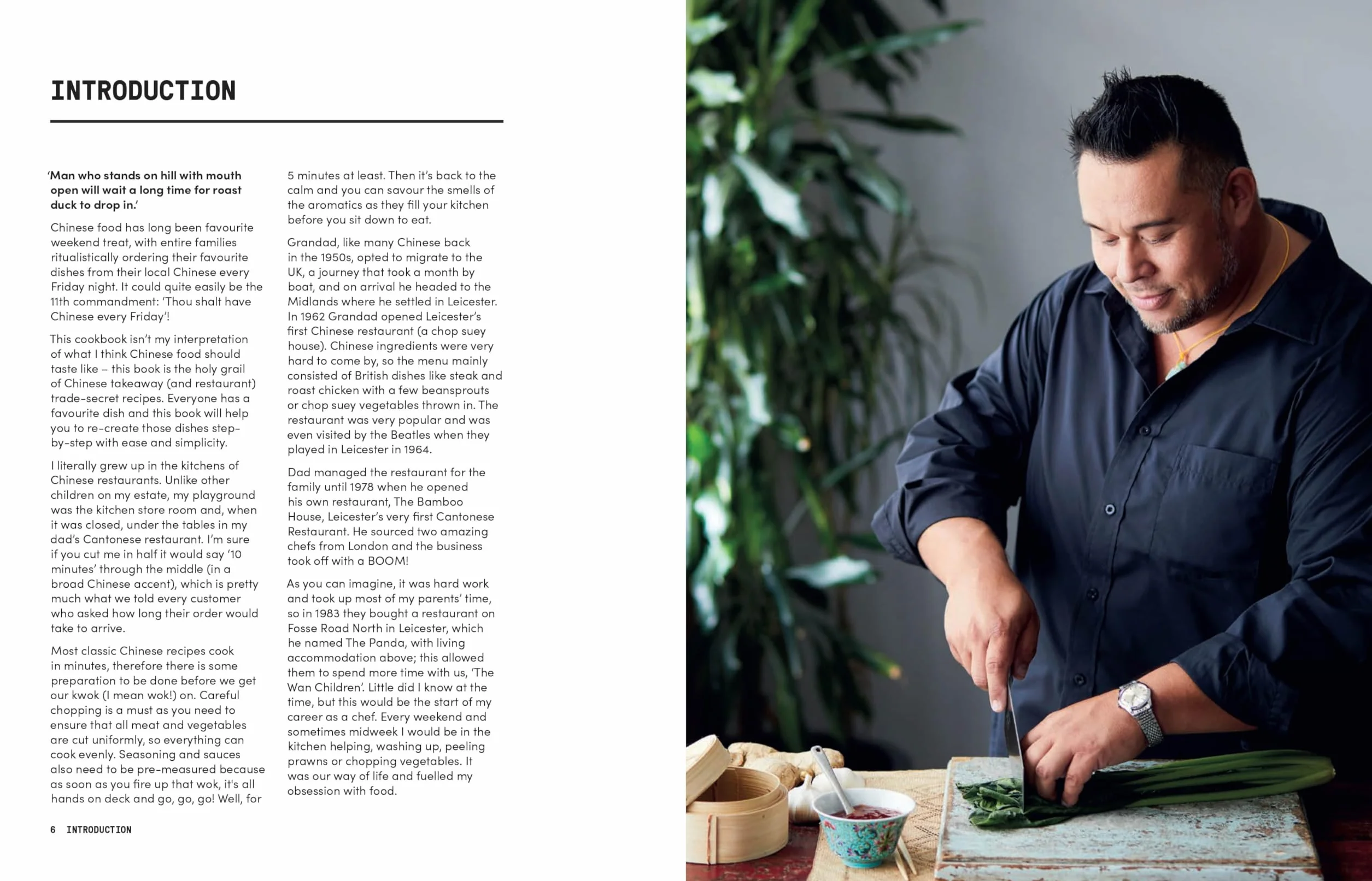 Chinese Takeaway Cookbook: From Chop Suey to Sweet 'n' Sour, Over 70 Recipes to Re-create Your Favourites