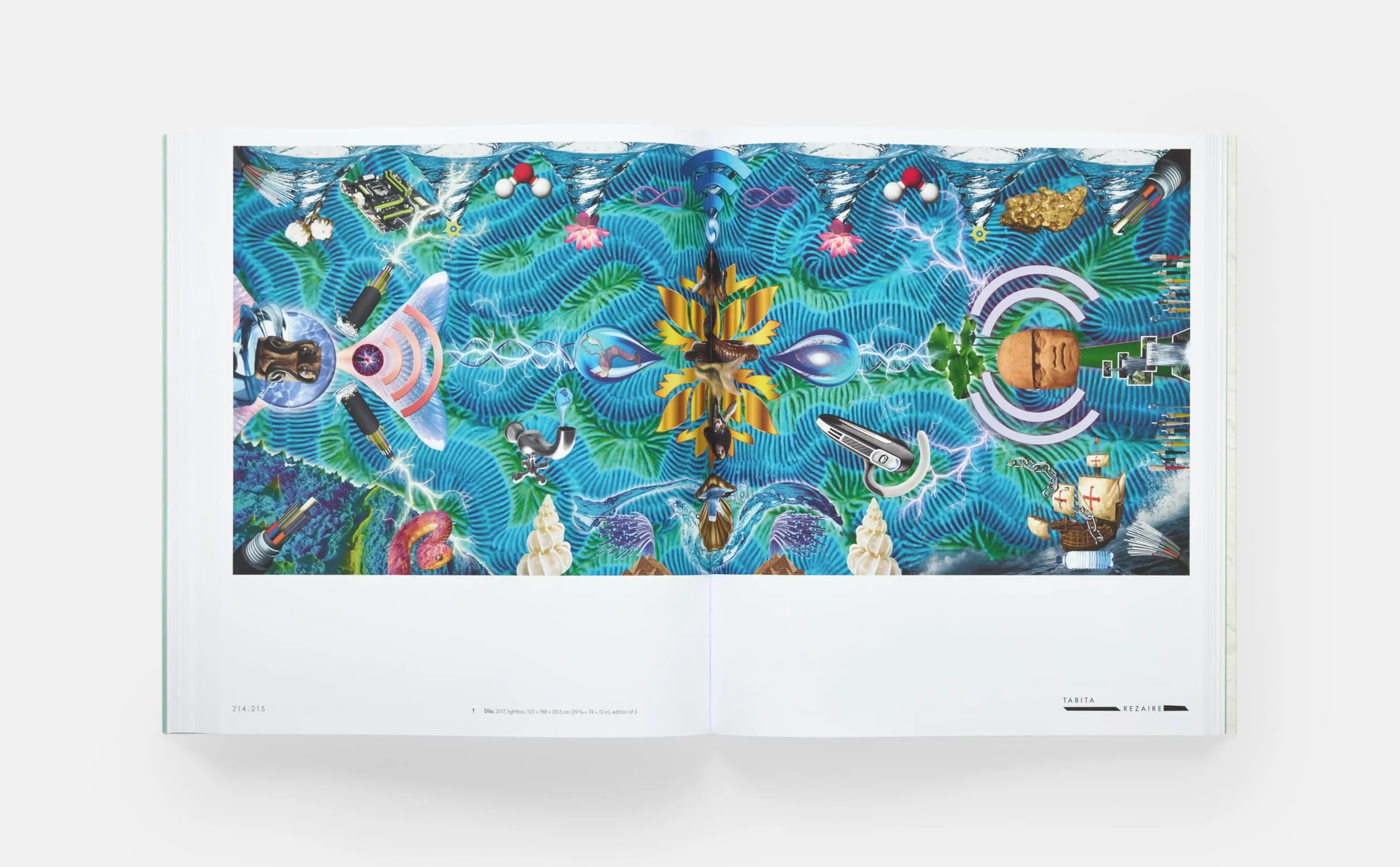 Vitamin C+: Collage in contemporary art