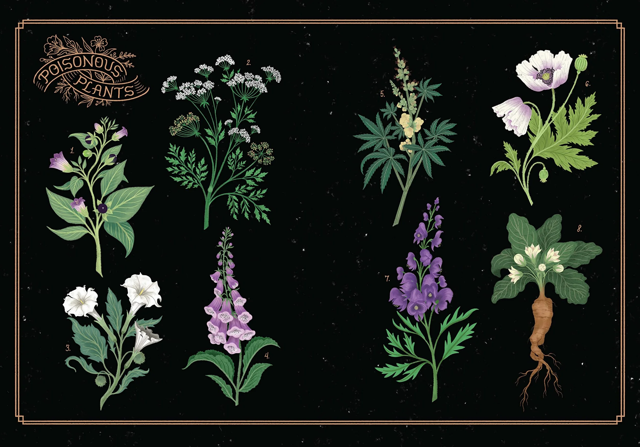 The League of Lady Poisoners: Illustrated True Stories of Dangerous Women