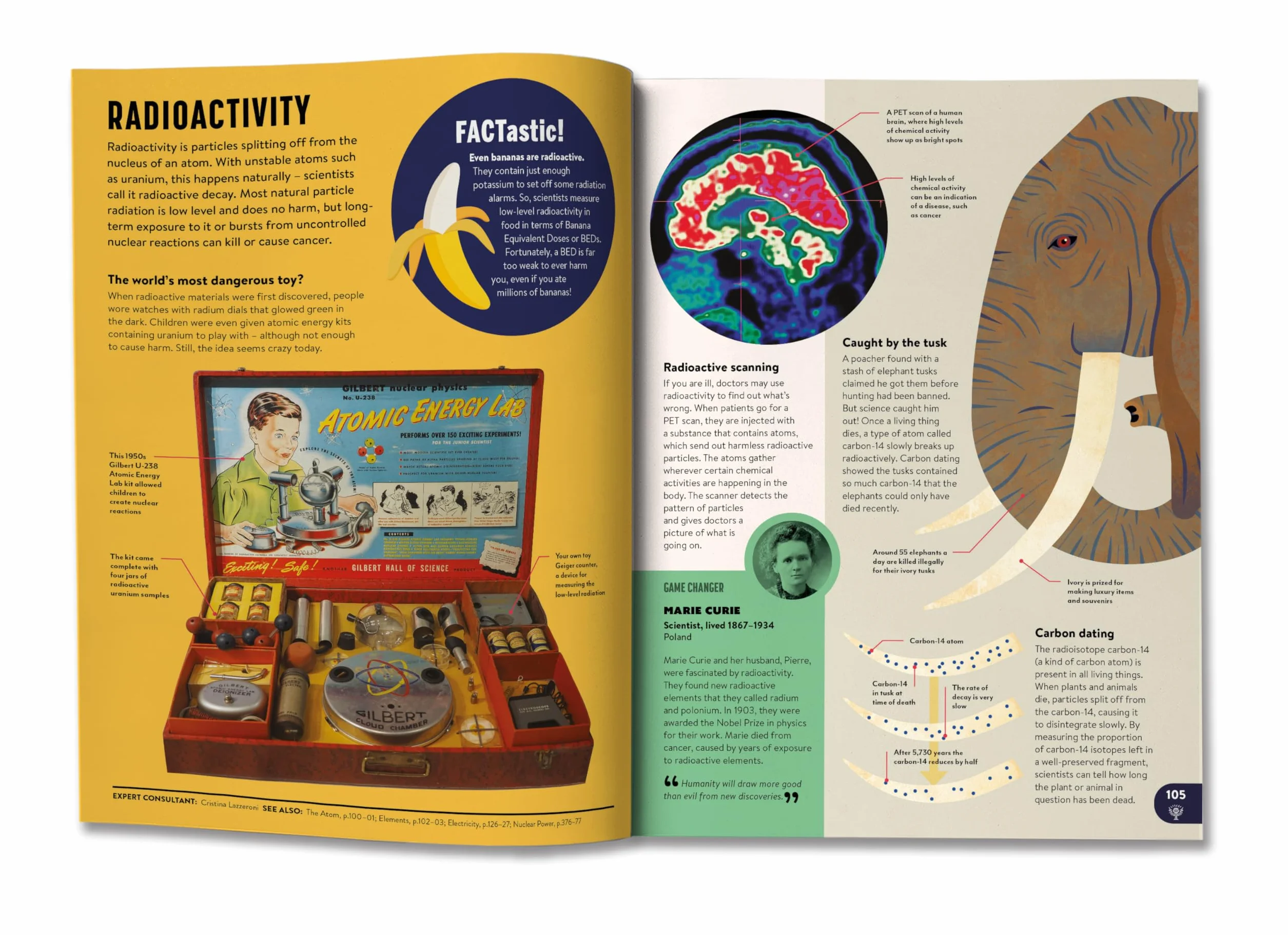 Britannica All New Children's Encyclopedia: What We Know & What We Don't