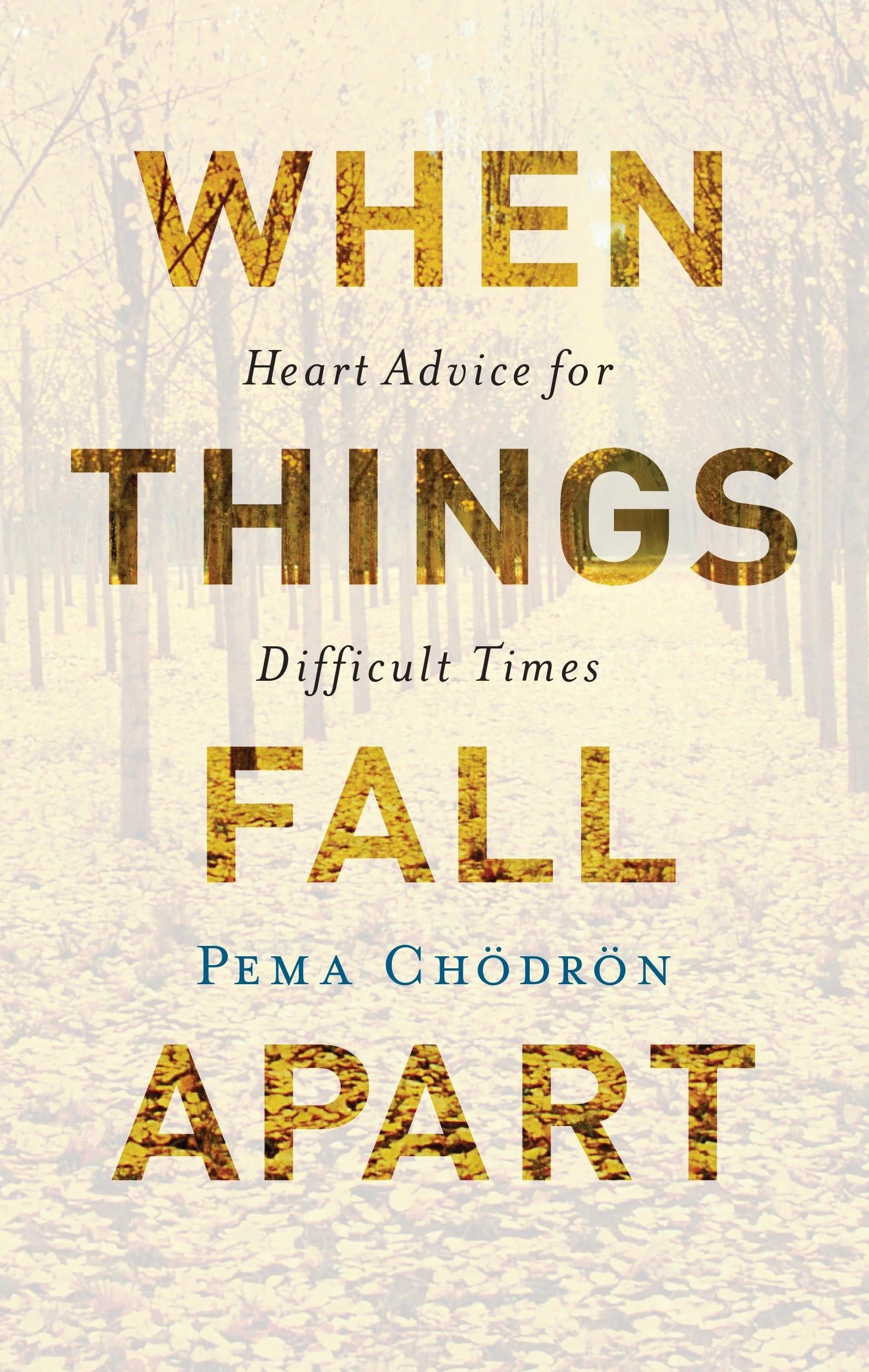 When Things Fall Apart: Heart Advice for Difficult Times