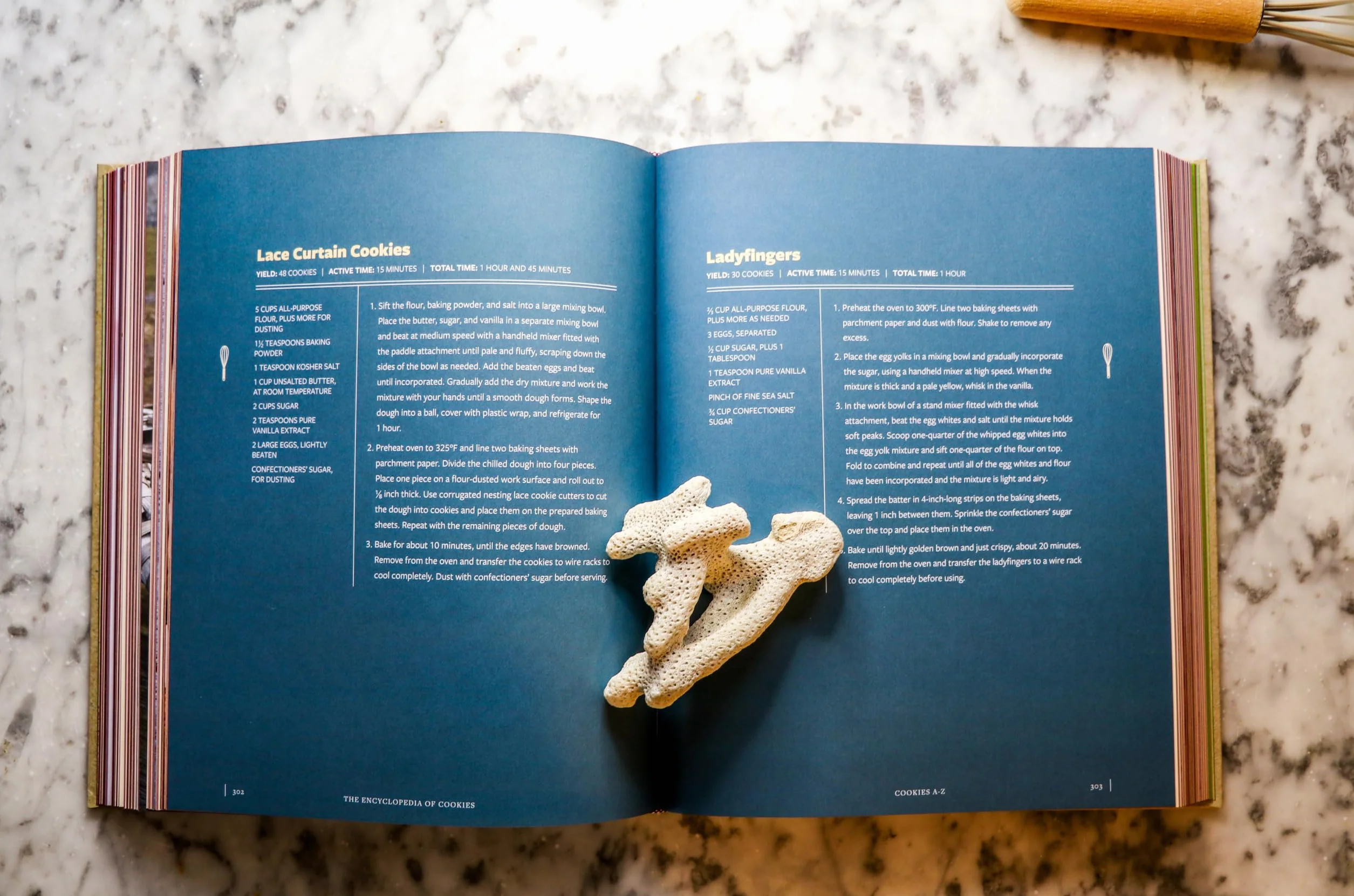 The Encyclopedia of Cookies: Over 500 Tasty Recipes for Cookie Lovers of All Ages