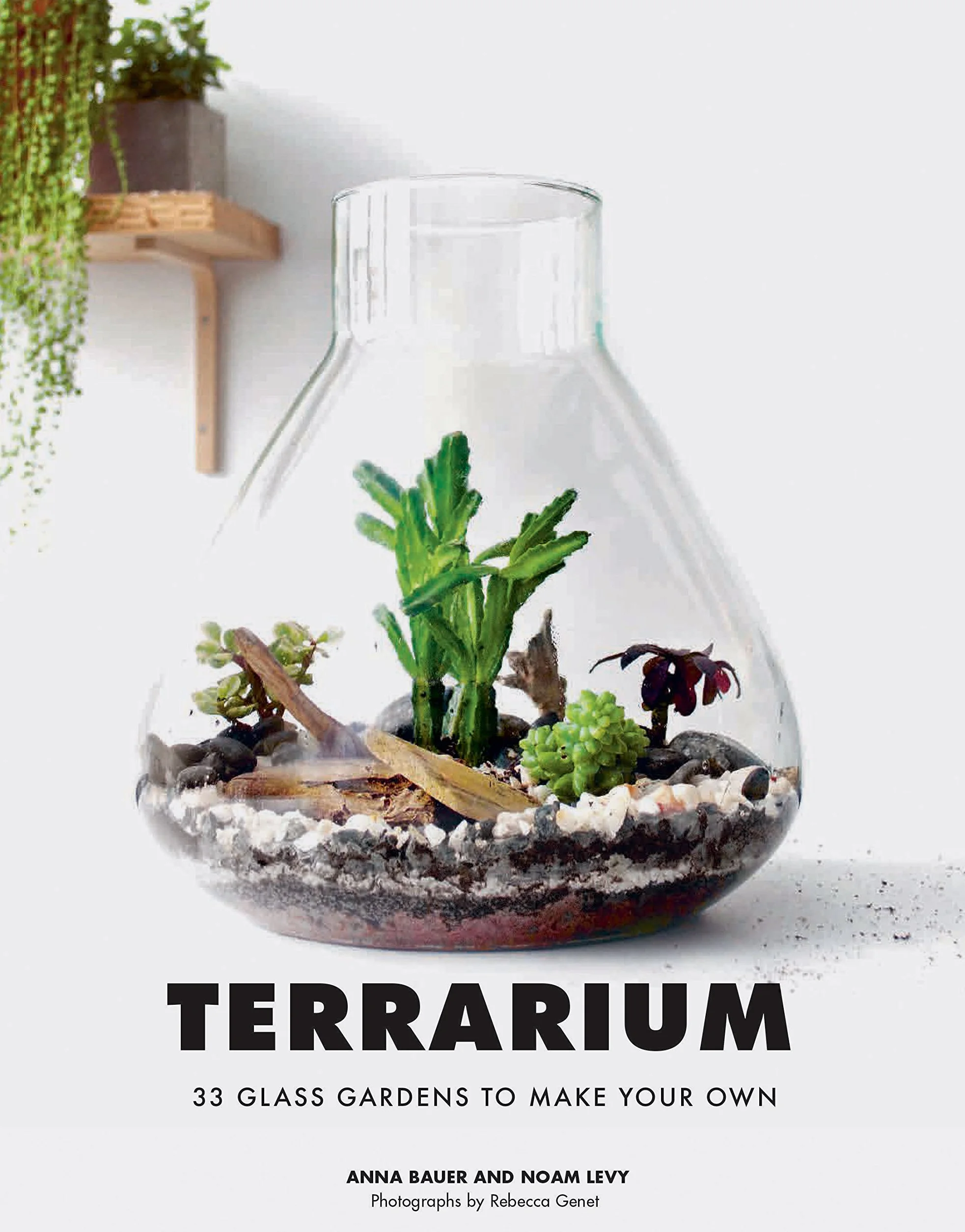 Terrarium: 33 Glass Gardens to Make Your Own