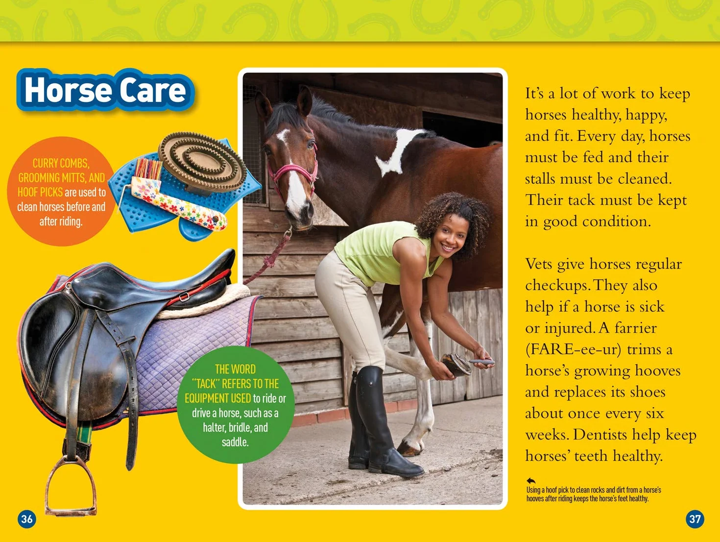 National Geographic Kids Readers: Gallop! 100 Fun Facts About Horses