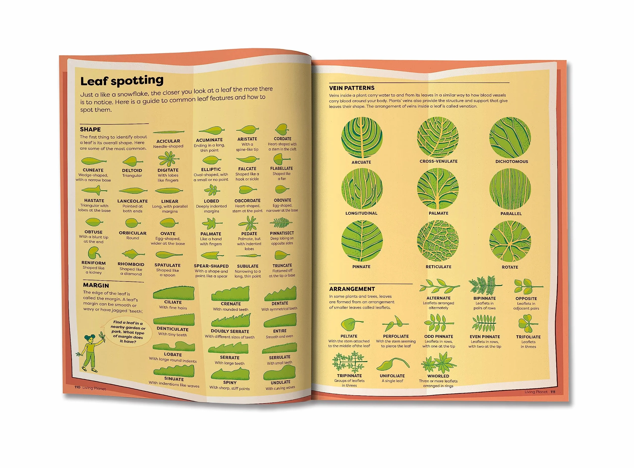 Britannica's Encyclopedia Infographica: 1,000s of Facts & Figures-about Earth, space, animals, the body, technology & more-Revealed in Pictures