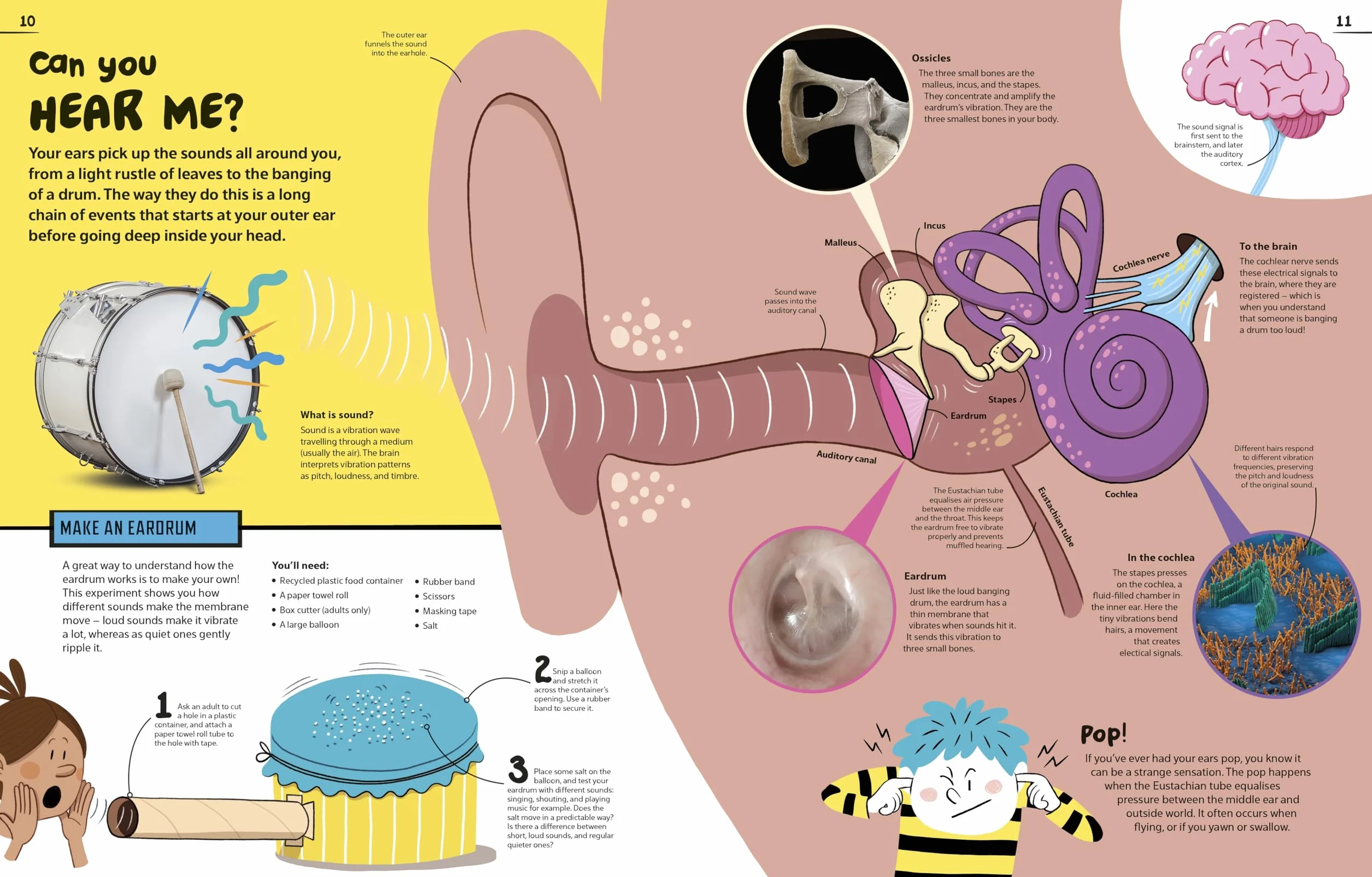 An Excellent Encyclopedia of Your Senses: Think You Have Just Five Senses? Think Again!