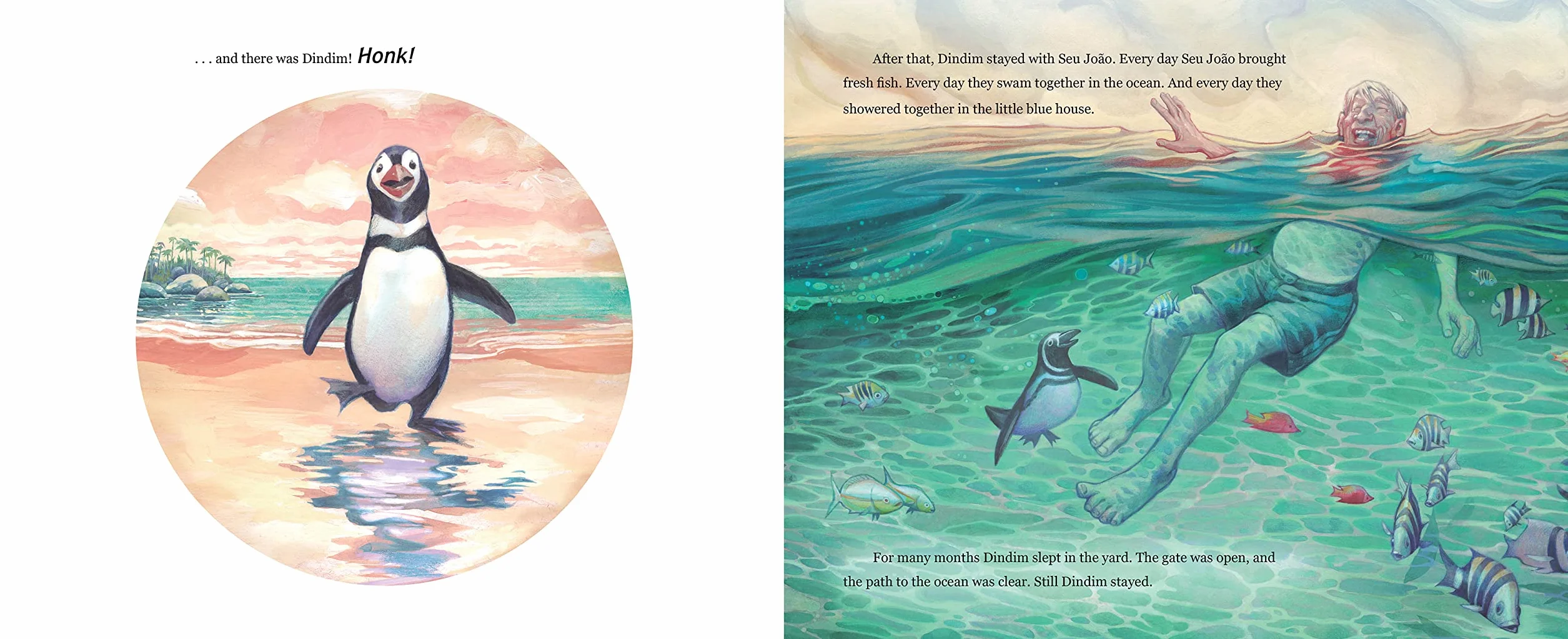 The Penguin of Ilha Grande: From Animal Rescue to Extraordinary Friendship