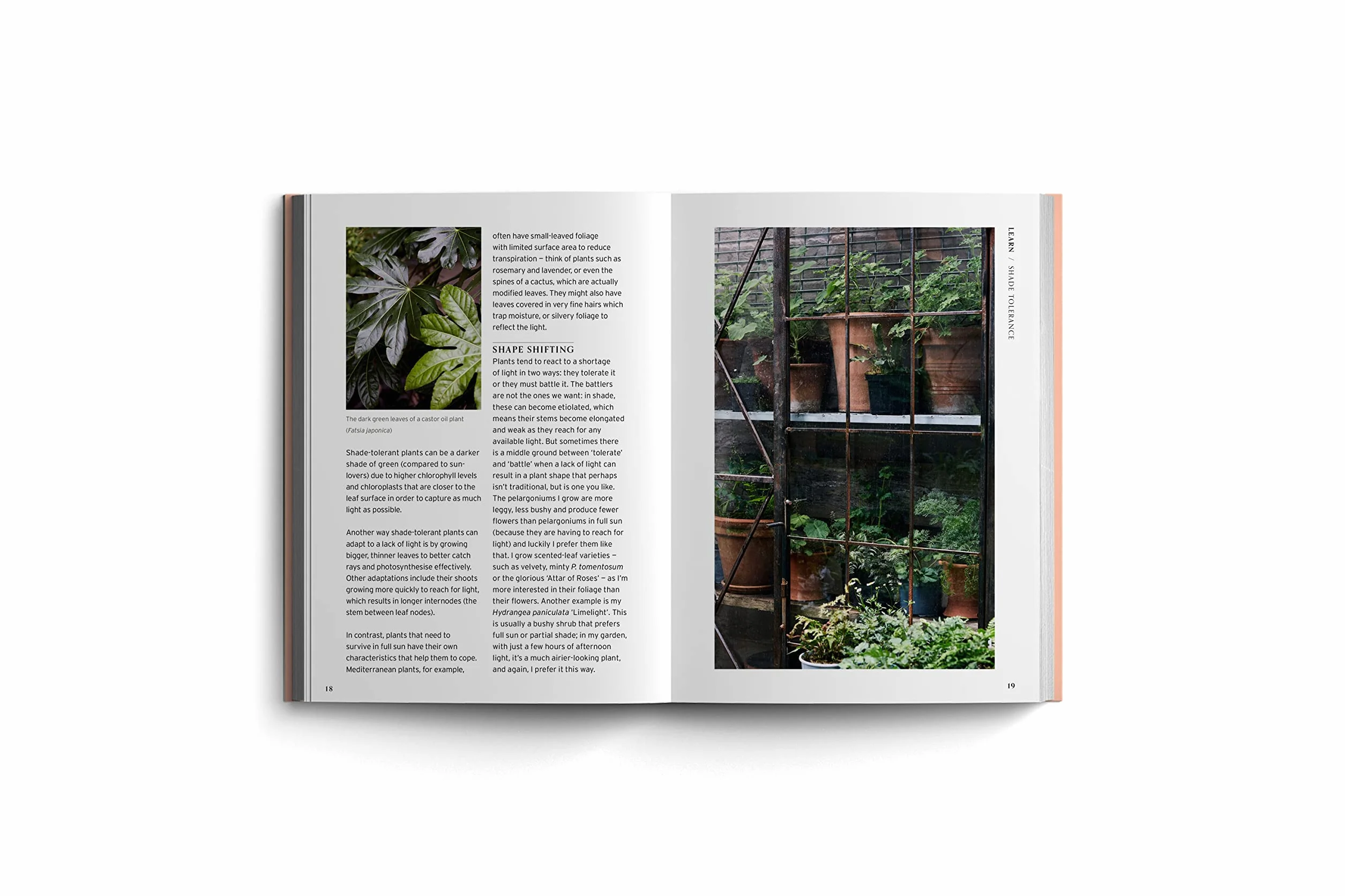 Bloom Gardener's Guide: Work with the Light, Grow the Right Plants, Bring Dark Corners to Life