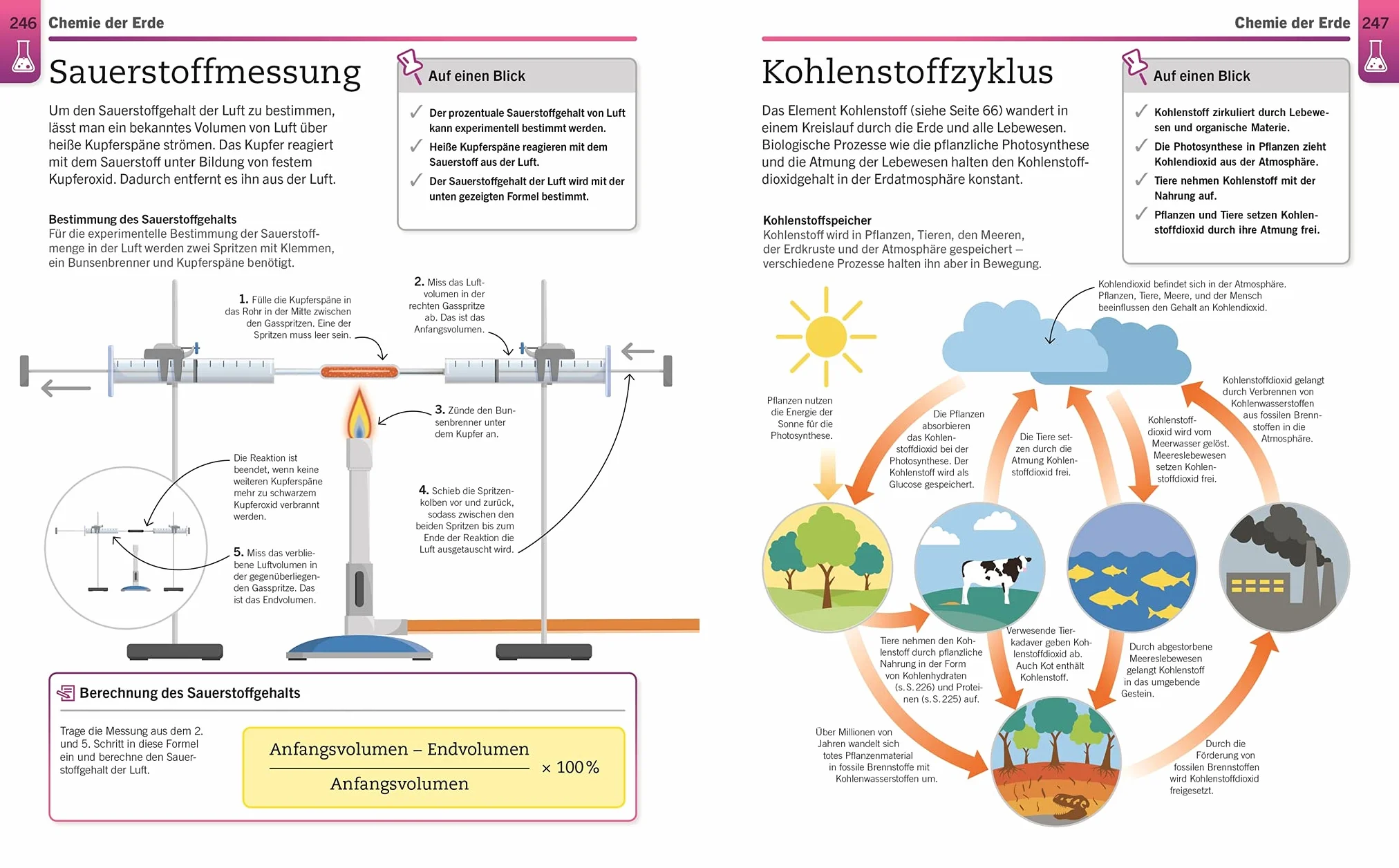 Visuelles Wissen. Chemie: Der anschauliche Einstieg in alle Themenbereiche
