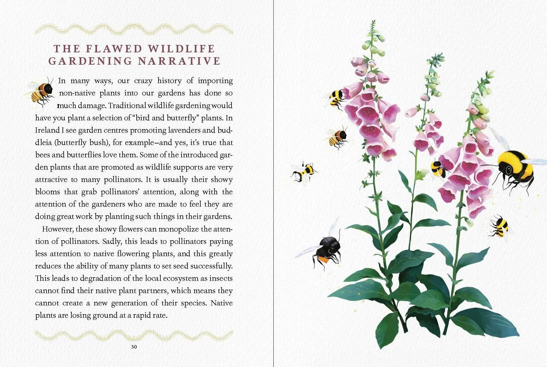 We Are the Ark: Returning Gardens to Their True Nature Through Restorative Kindness
