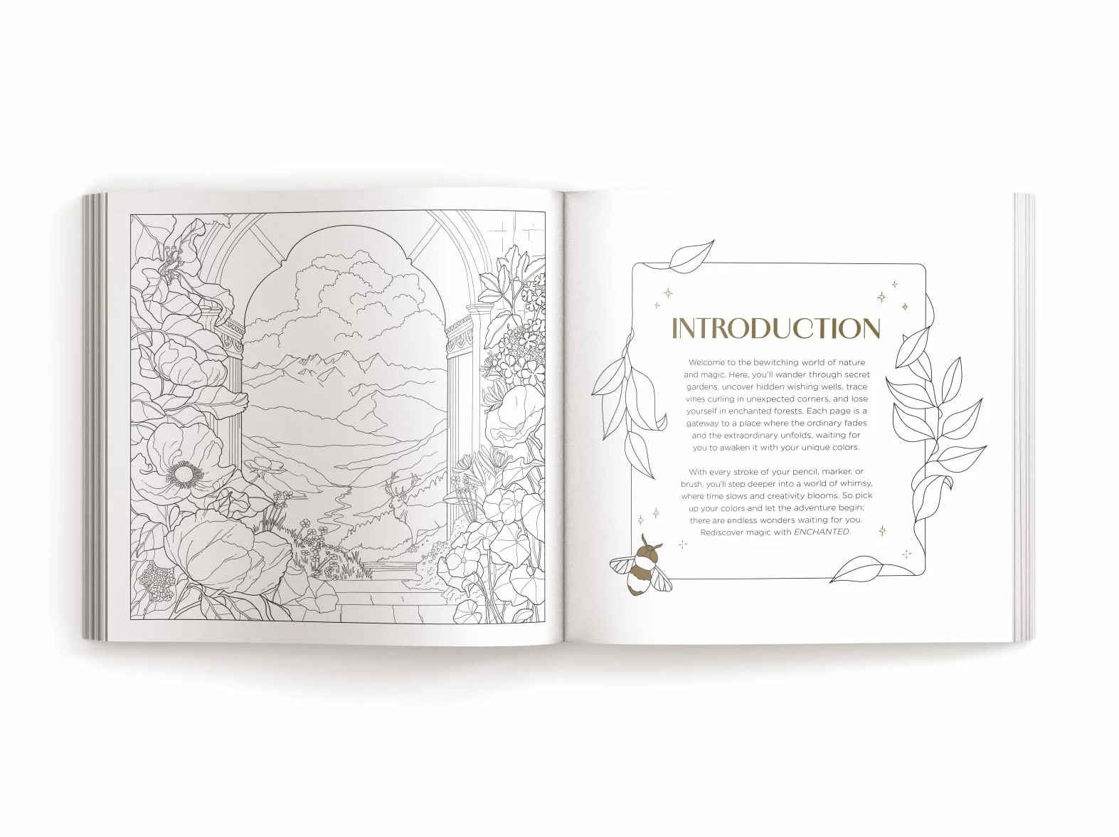 Enchanted: Color Your Way Through Nature's Hidden Gems