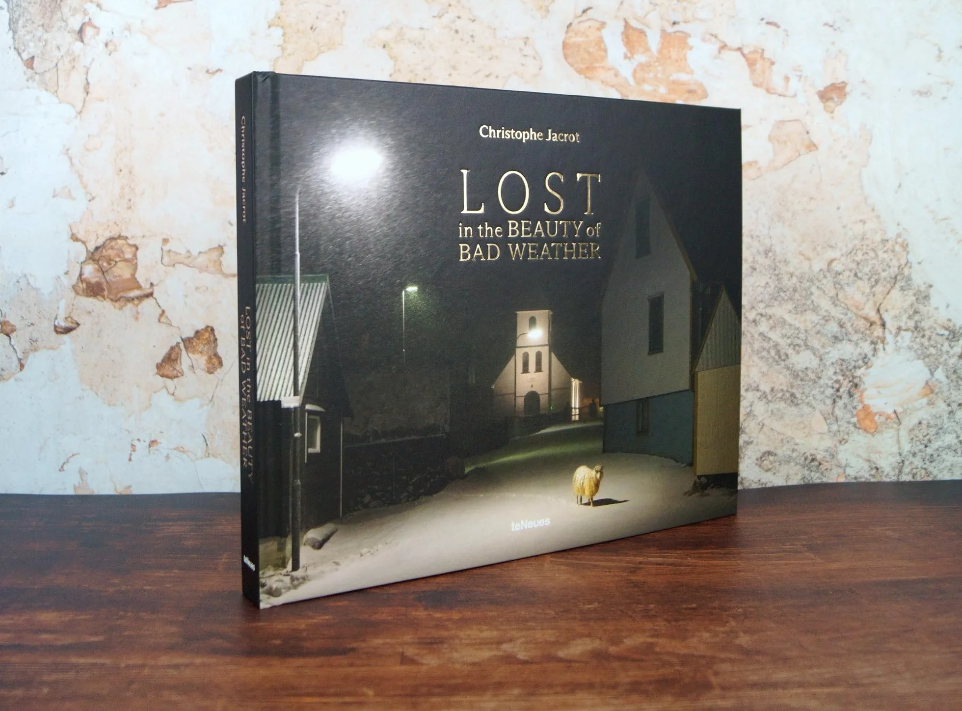 Christophe Jacrot Lost In the Beauty of Bad Weather anglais allemand