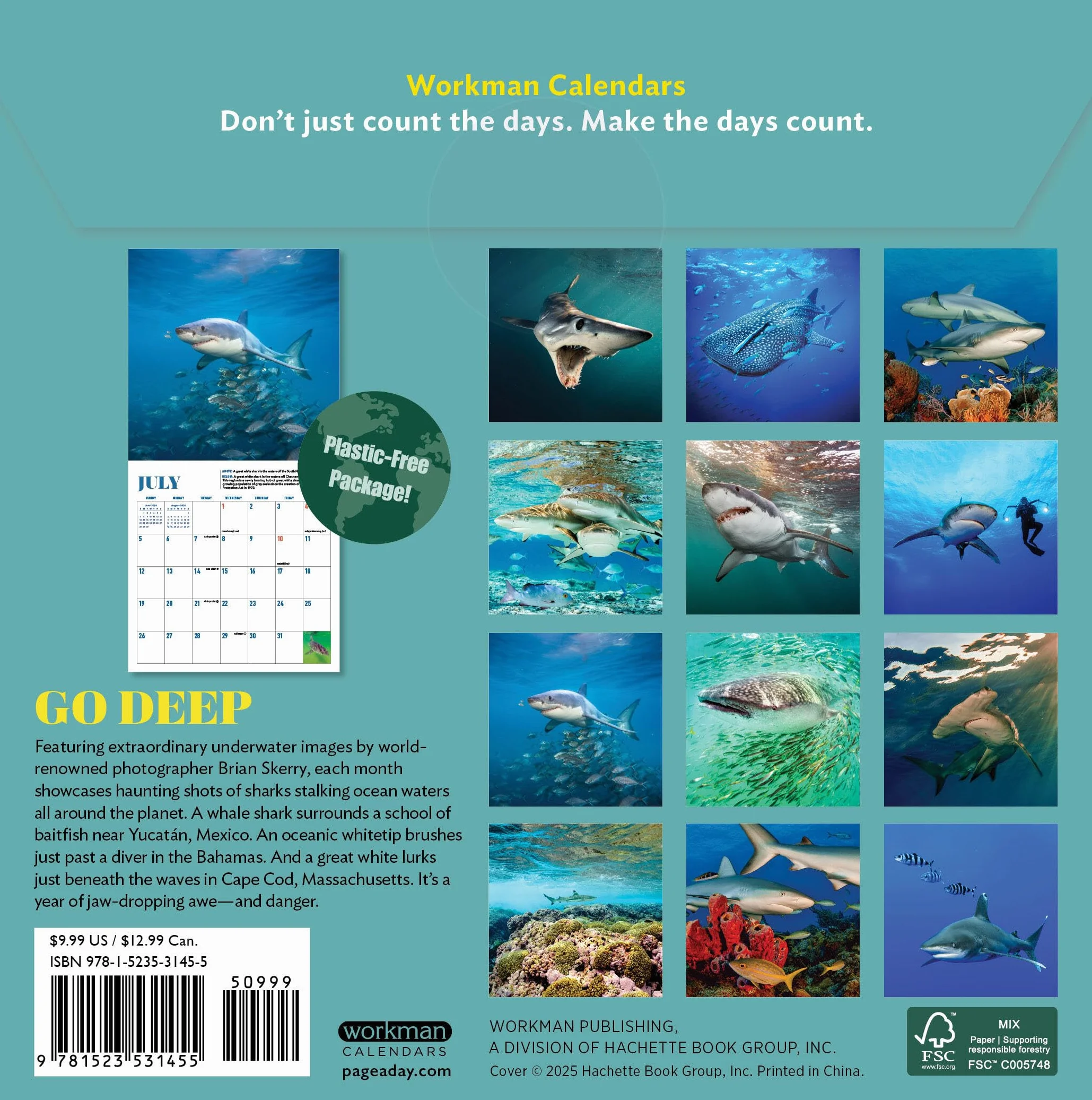 Shark Mini Wall Calendar 2026