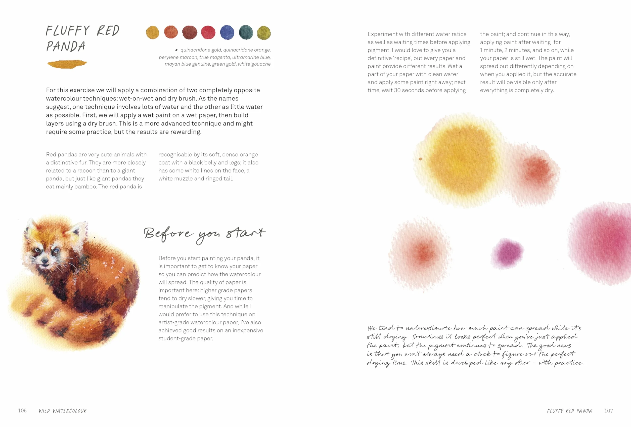 Wild Watercolour: Connect to the Natural World Through the Art of Painting