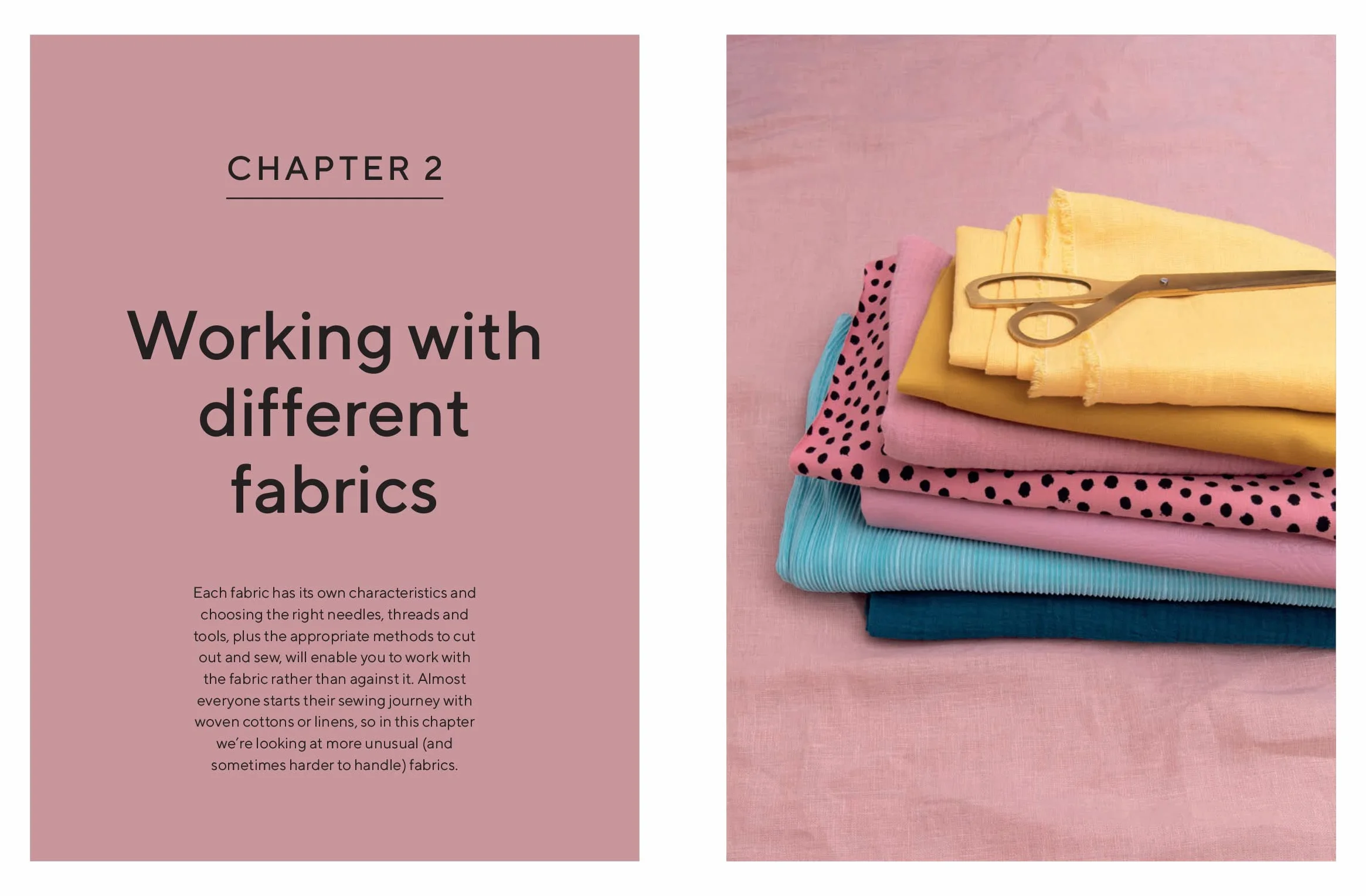 The Great British Sewing Bee: The Skills: Beyond Basics: Advanced Tips and Tricks to Take Your Sewing Technique to the Next Level