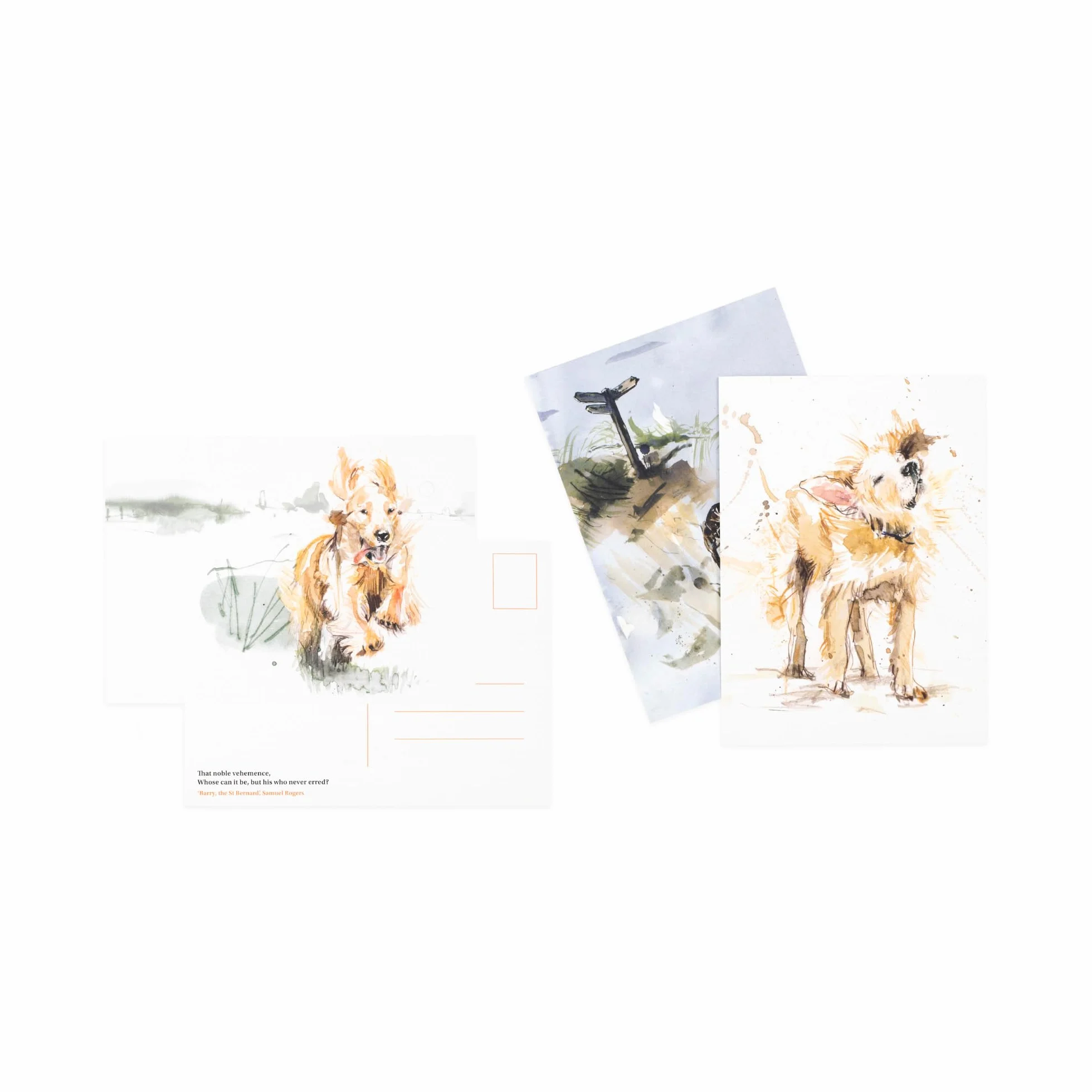 For the Love of Dogs: 25 Postcards