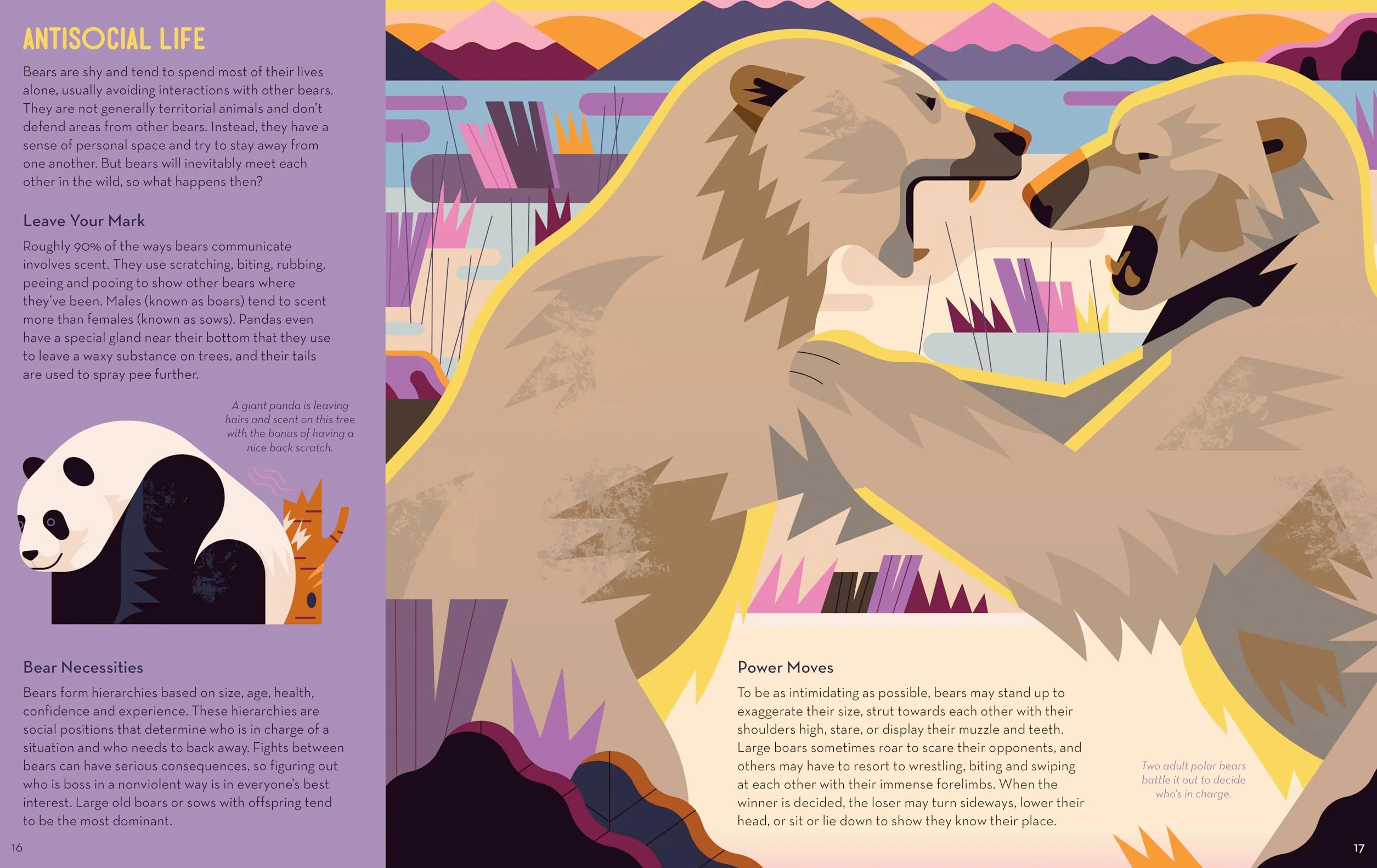 Brainy About Bears
