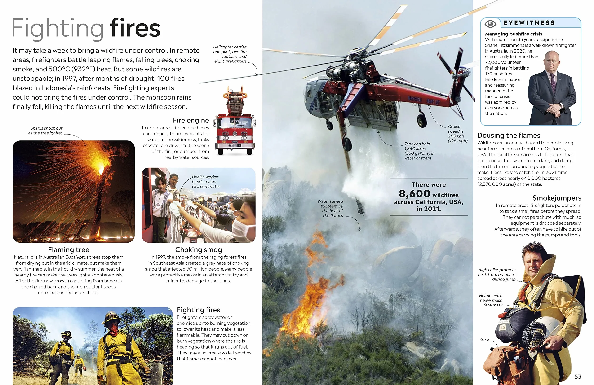 Natural Disasters: DK Eyewitness