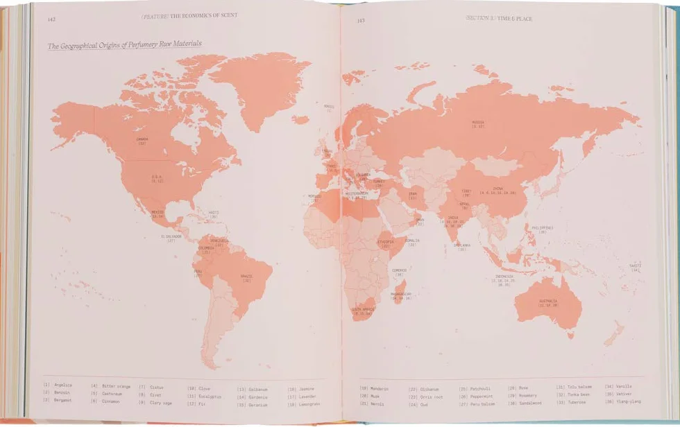 The Essence: Discovering the World of Scent, Perfume & Fragrance